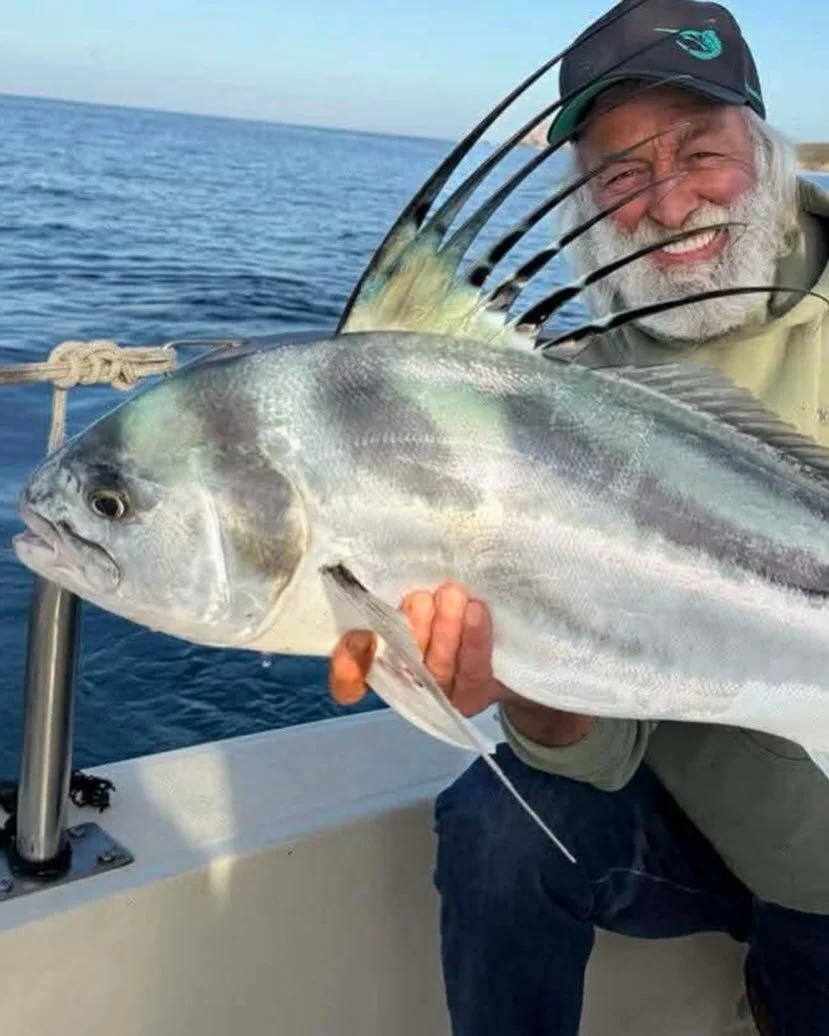 Rooster bite HOT in cabo.👊👍😎🌴