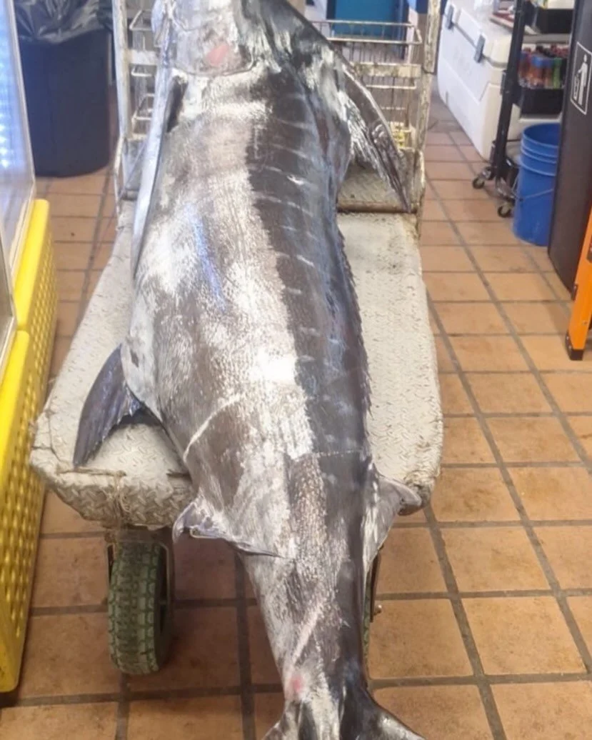 Off To The Smoke House.👊👍😎🌴