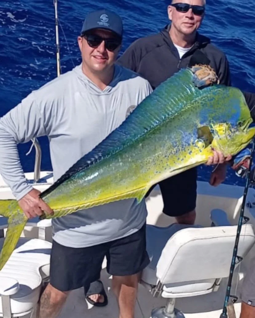 Solid Gold Right There.👊👍😎🌴