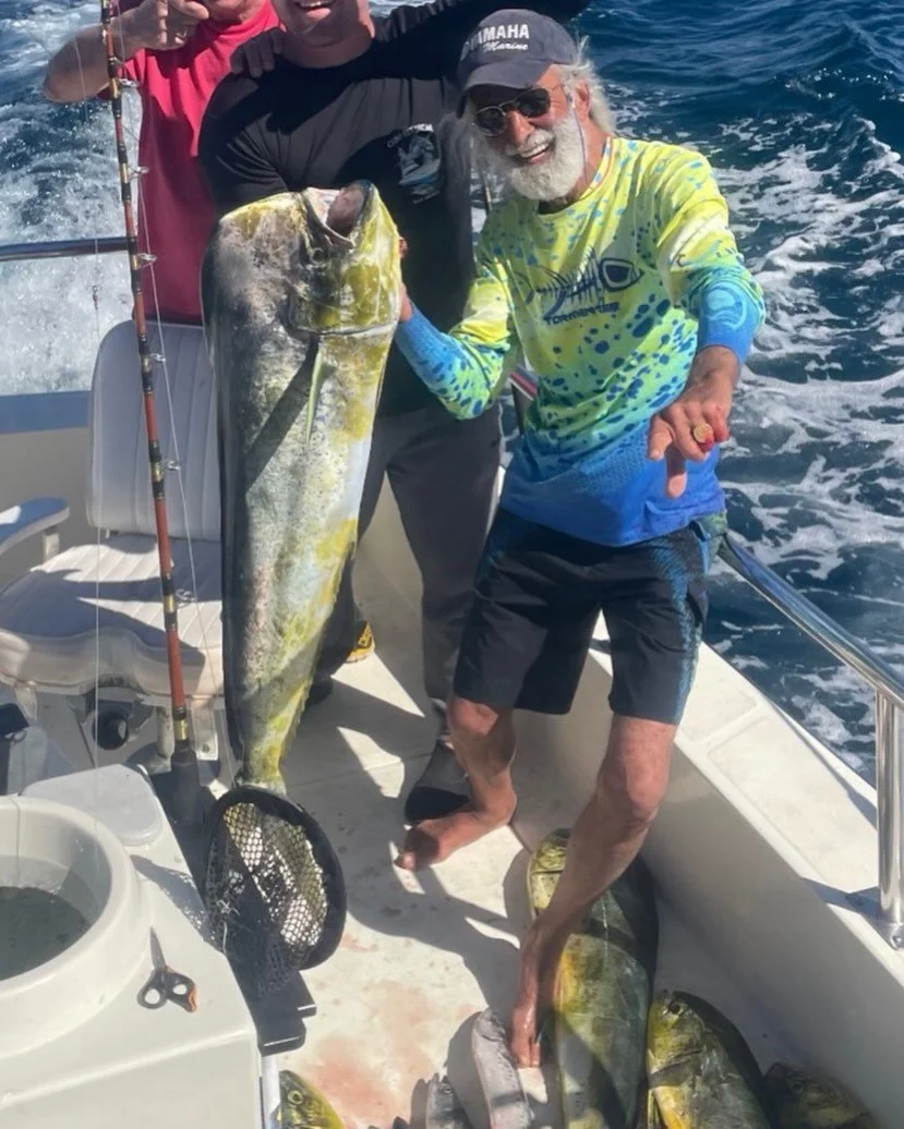Dorado on the feed  bag as waters warm up.Sail and Blue marlin already moving in.Shaping up for some awesome fishing 👊👍😎🌴