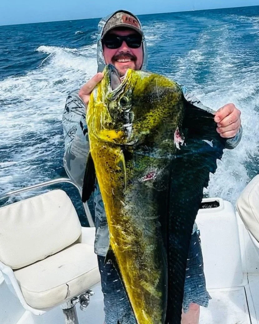 Dorado coming in Hot in cabo with a nice mix of marlin.👊👍😎🌴