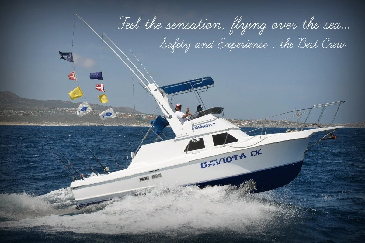 A white yacht named 'GAVIOTA IX' sailing on the sea with flags flying from the mast and a person waving on the deck, under a partly cloudy sky.
