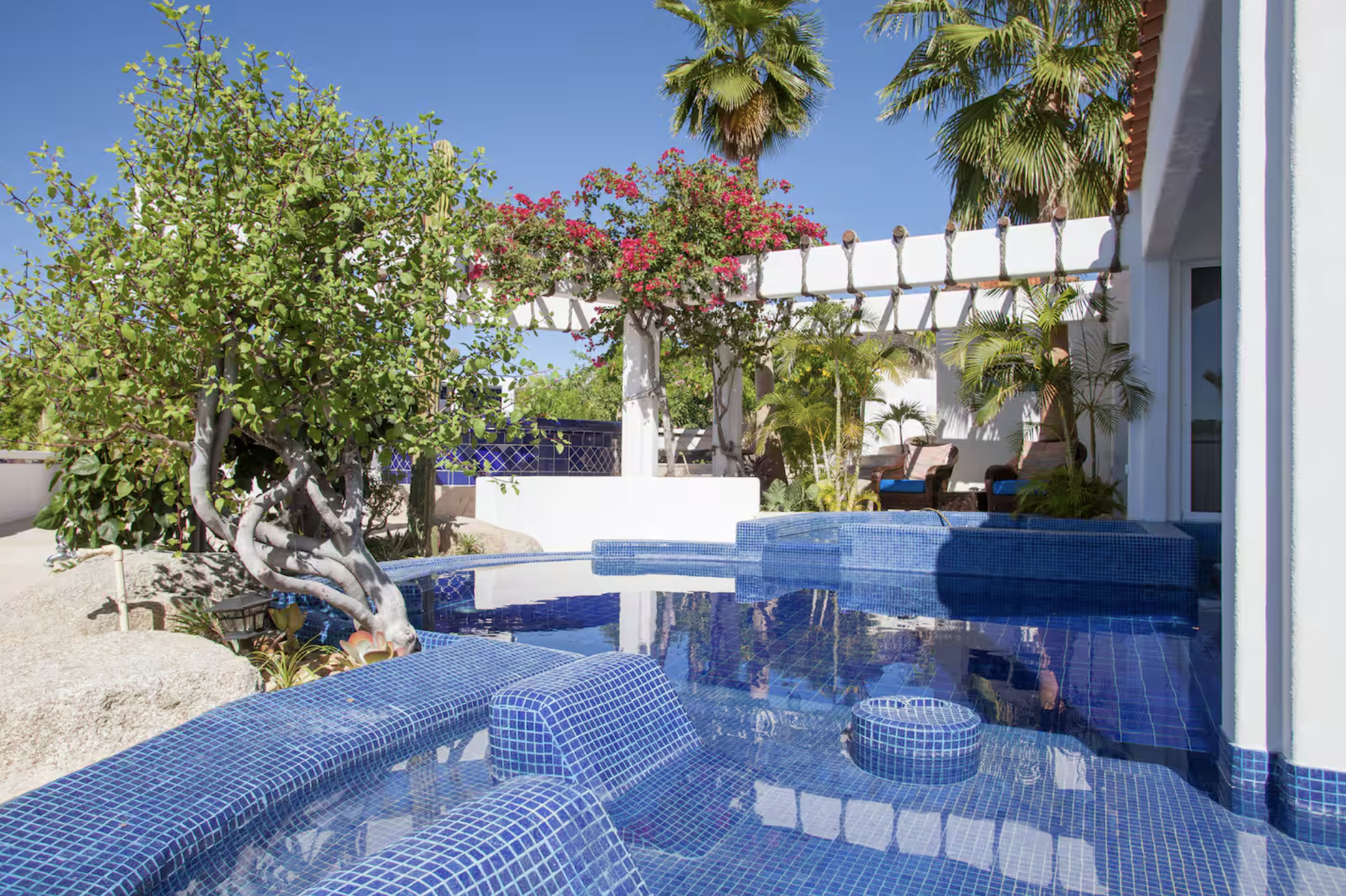 A backyard with a swimming pool, surrounded by lush greenery, including a bent tree, palm trees, and flowering plants, with outdoor chairs and a white pergola structure under a clear blue sky.