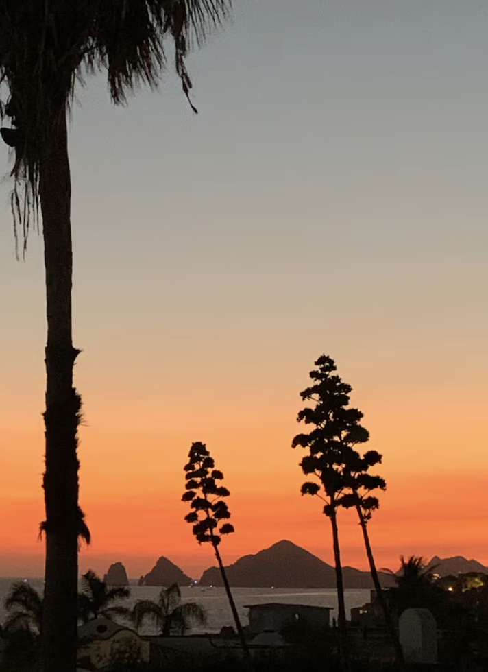 Silhouettes of palm trees against a colorful sunset sky over the ocean with mountains in the background.