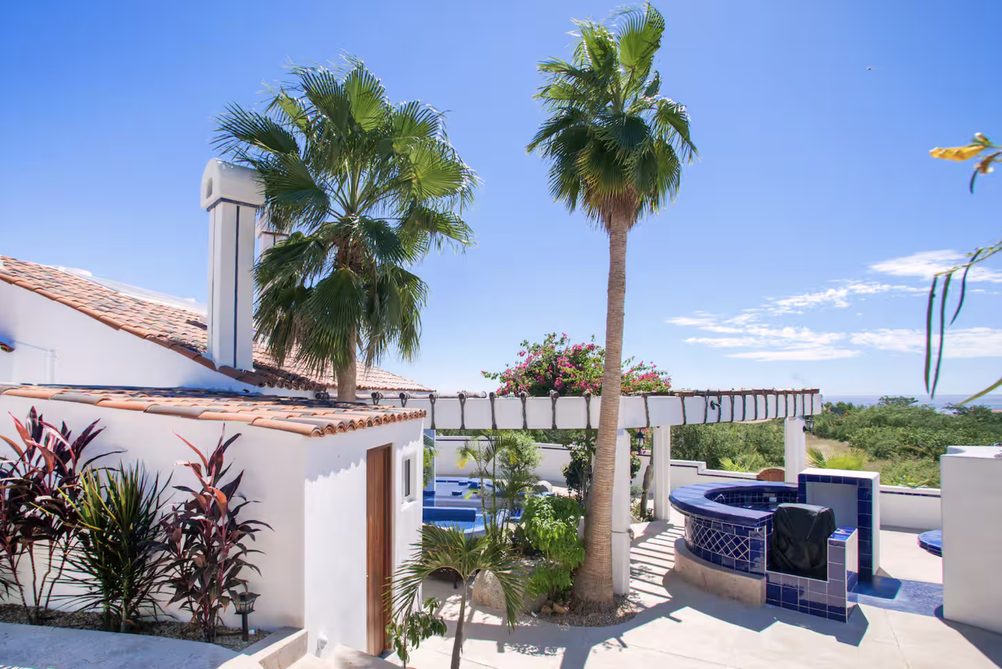 A sunny patio with two tall palm trees, a white building with a red tile roof, colorful plants, and a blue-tiled hot tub or pool area, with a view of greenery and the ocean in the distance.