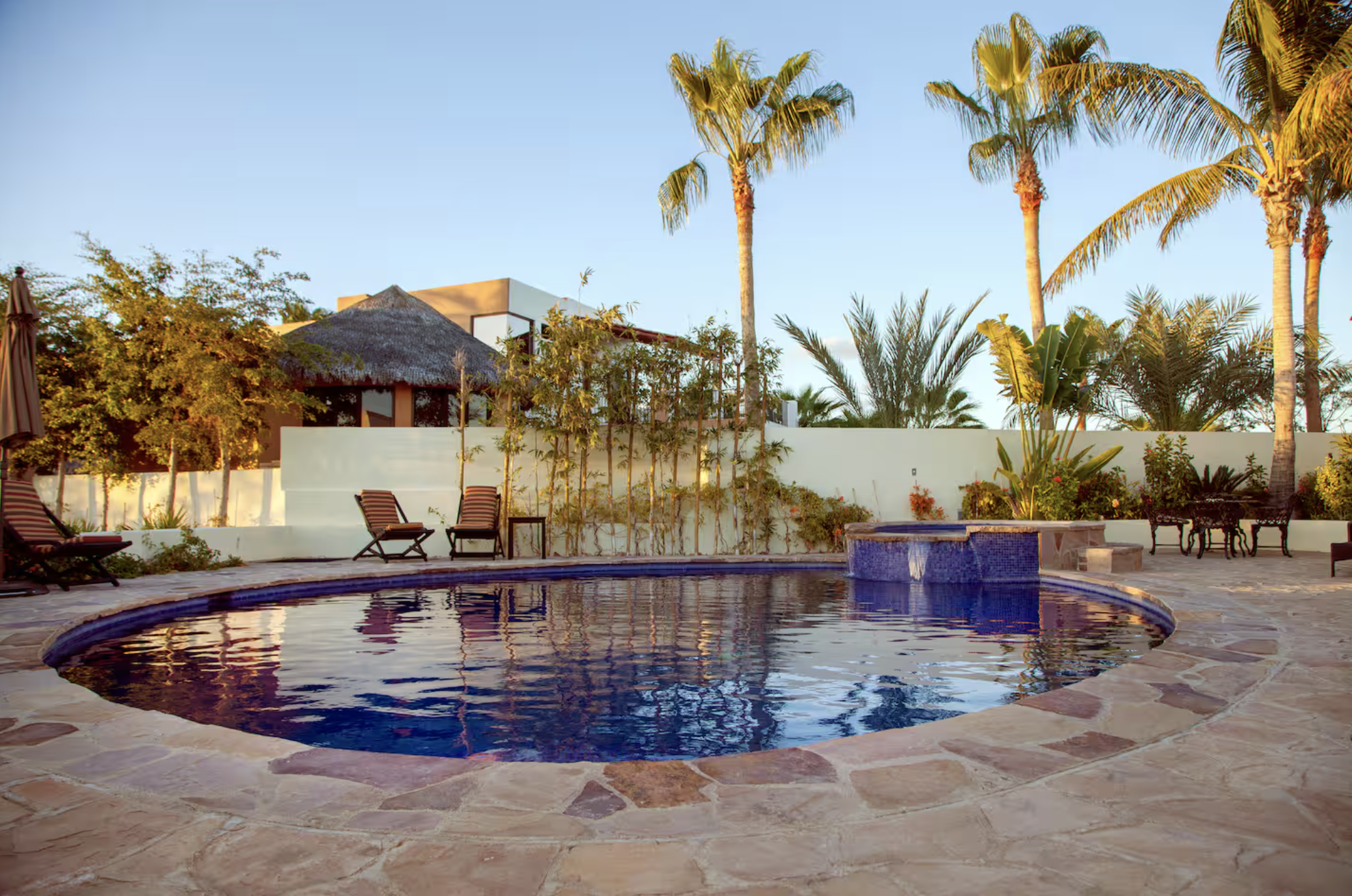 A backyard swimming pool area with lounge chairs, lush tropical plants, and tall palm trees under a clear blue sky