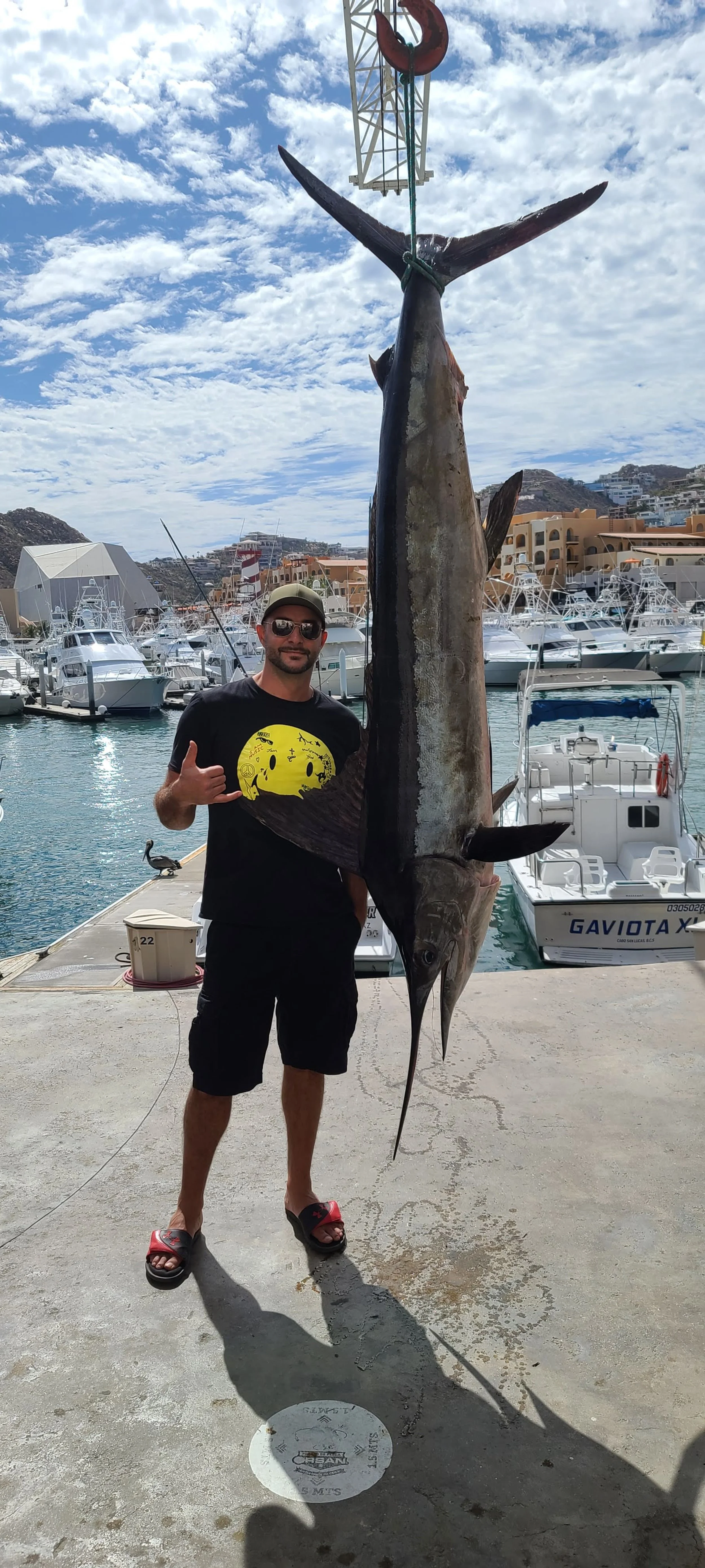 A man standing on a dock holding a large swordfish fish with a marina and boats in the background.