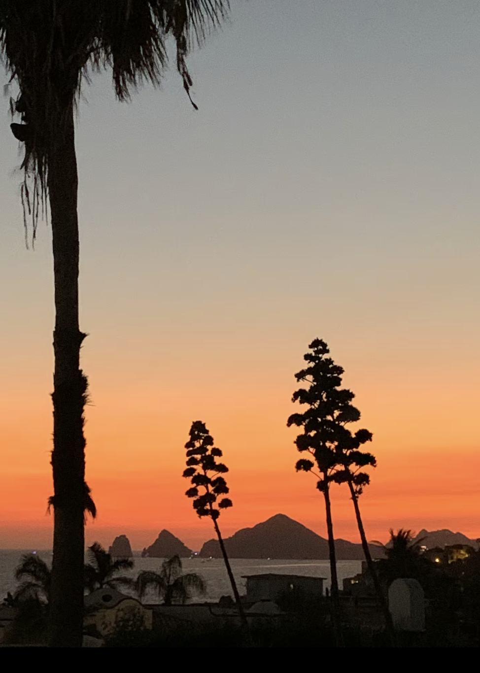 Sunset over an ocean with silhouetted palm trees, rocky islands, and some buildings in the foreground.