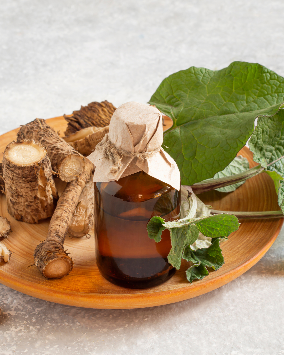 Burdock Root