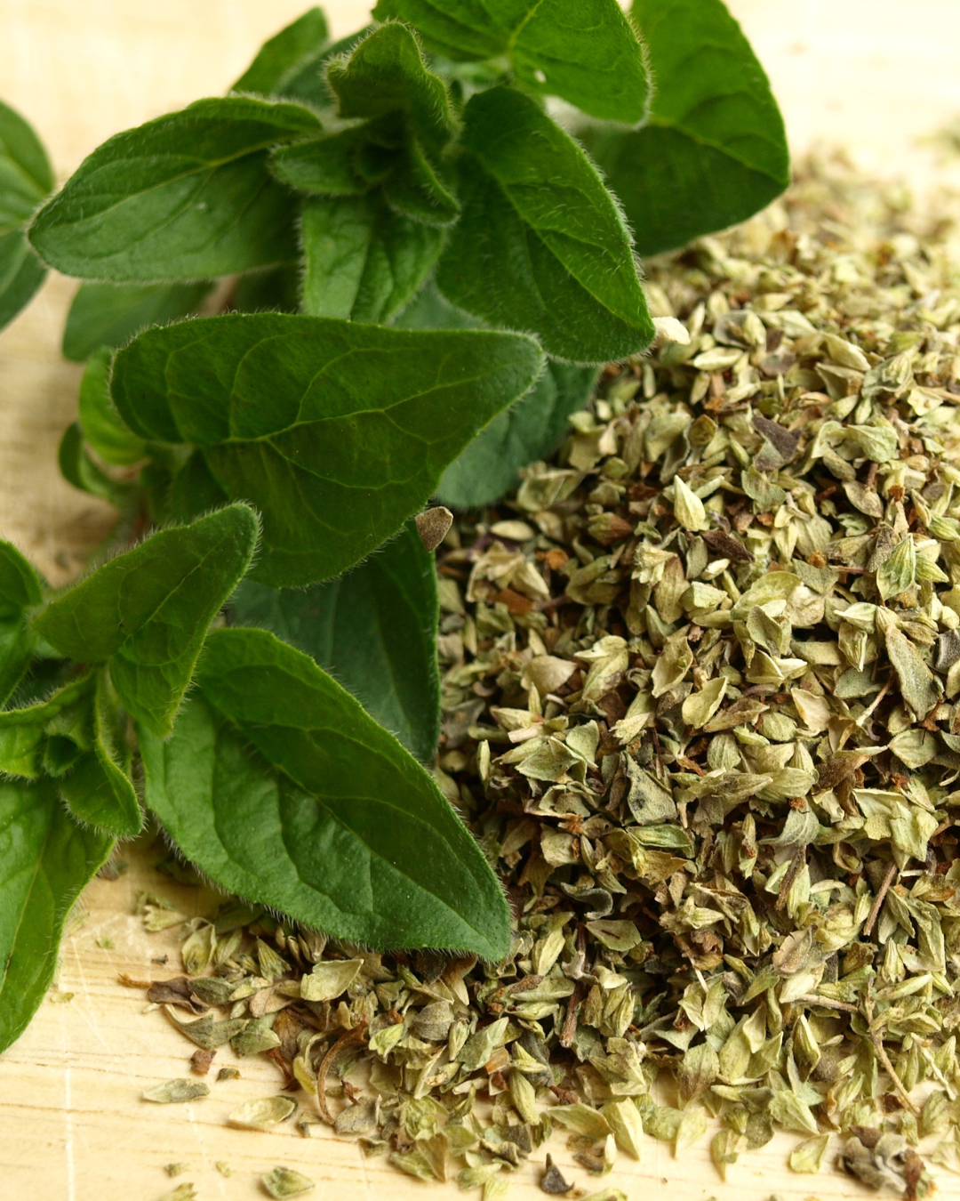 Oregano