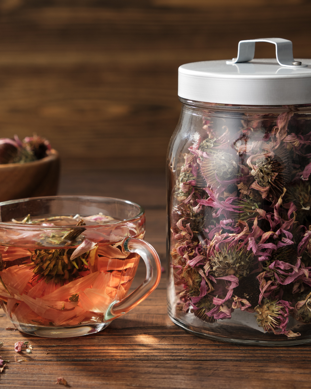 Echinacea loose.webp