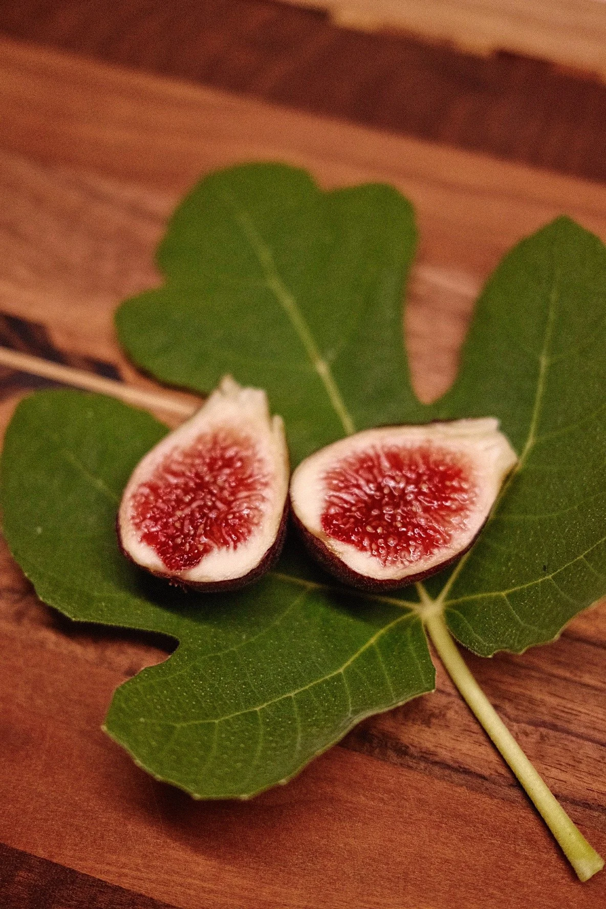 Food Forest in a Box