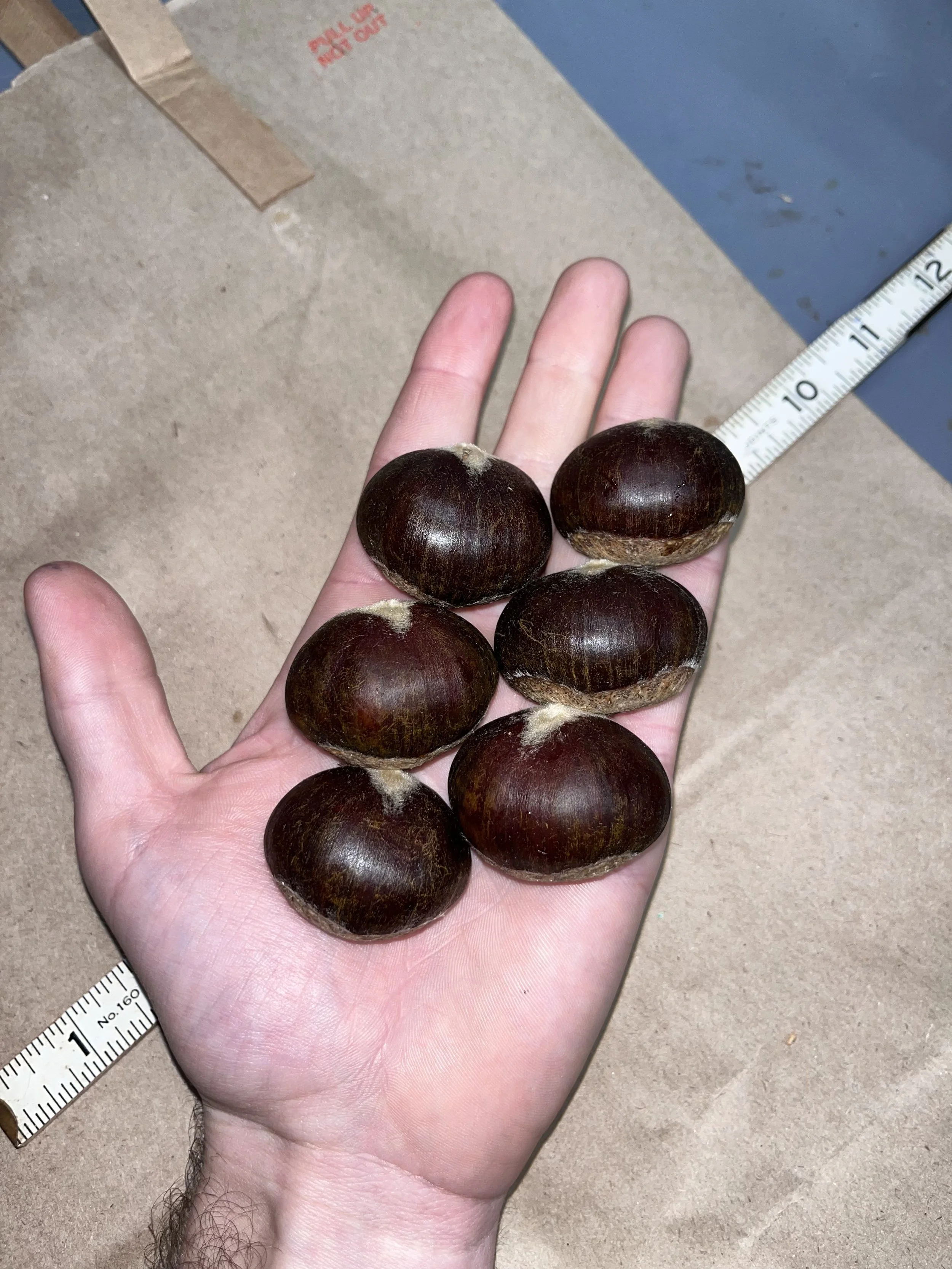 mossbarger in hand.jpg