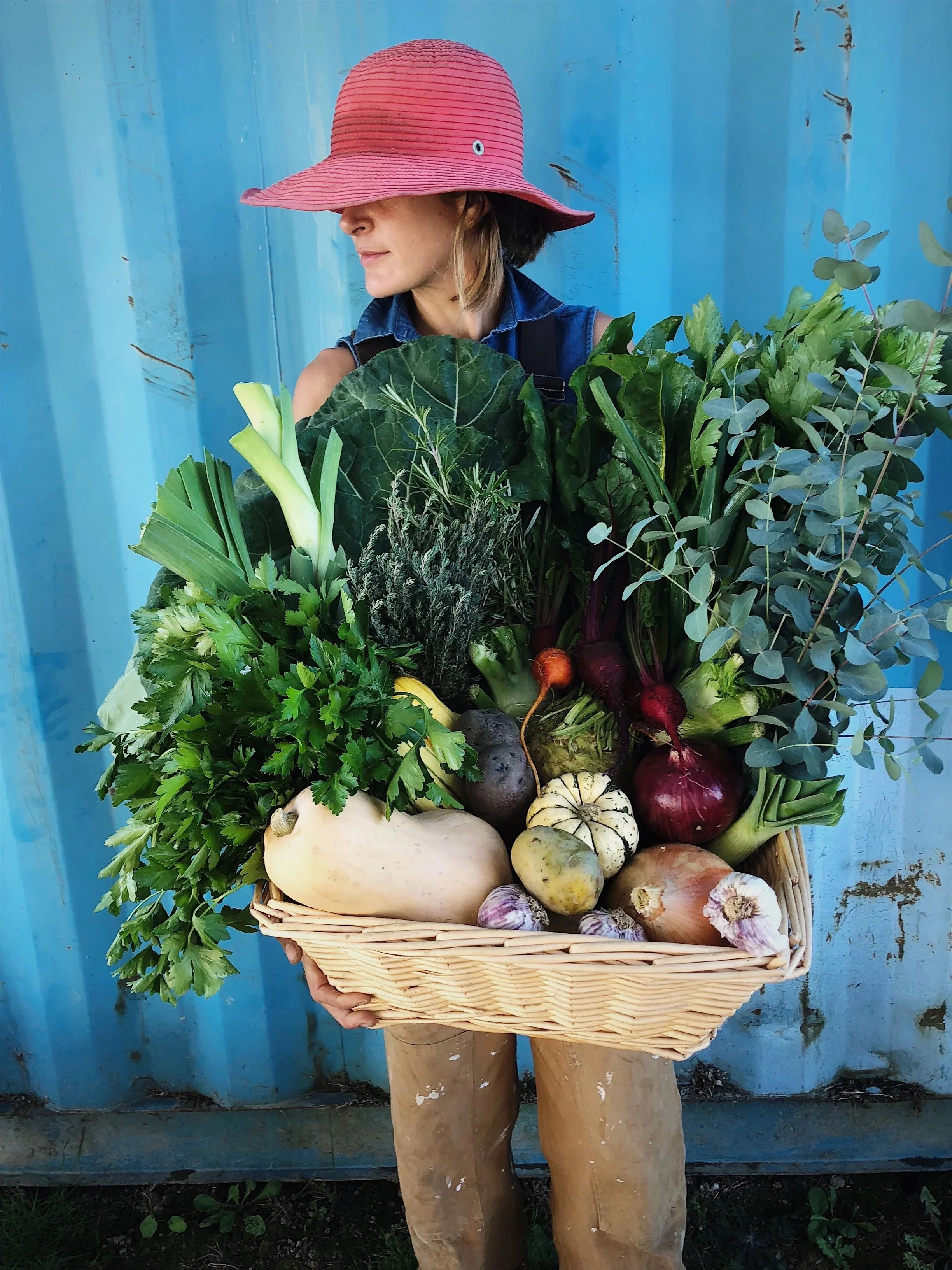 Farm Harvest Basket