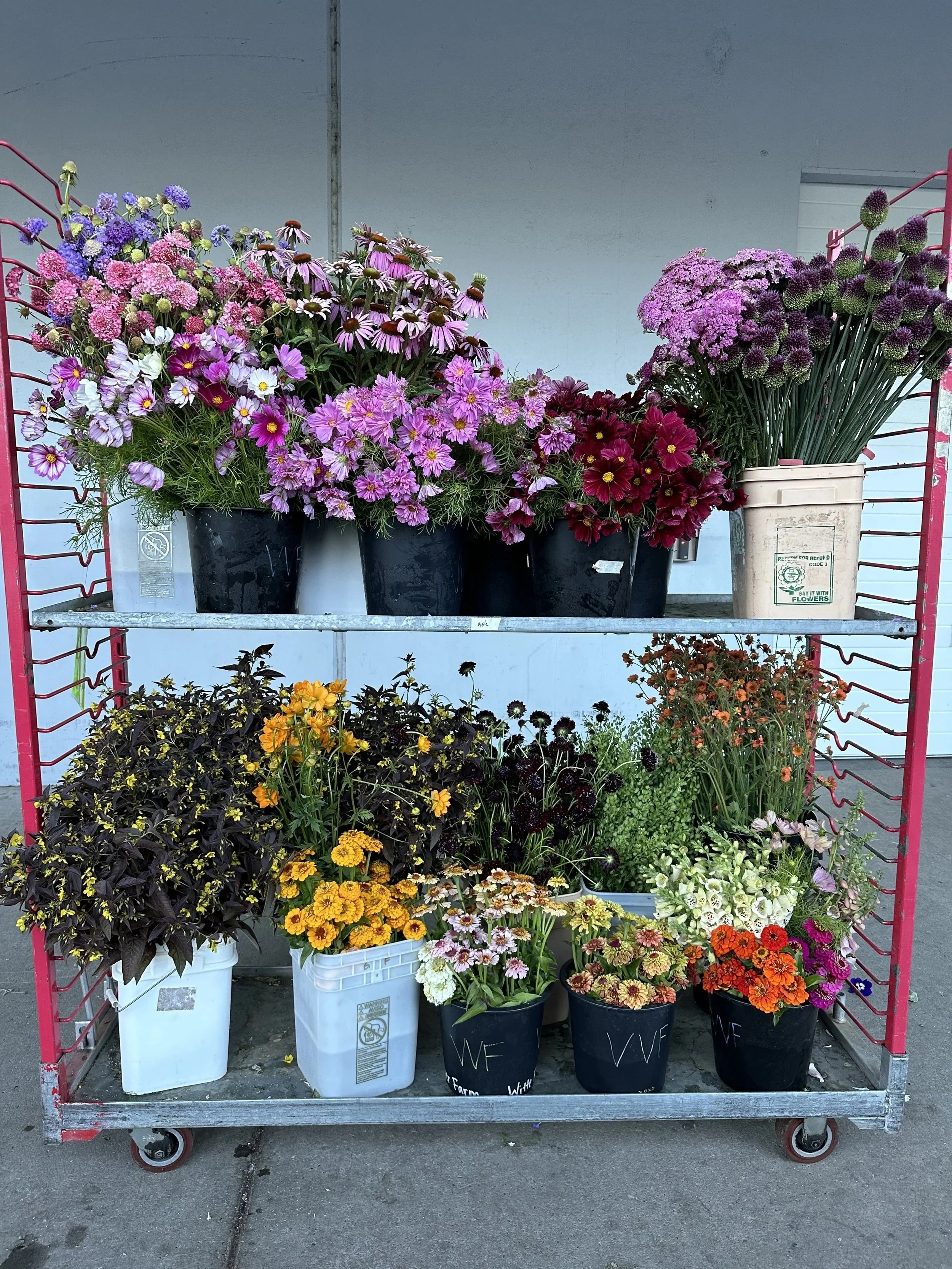 Market Flowers