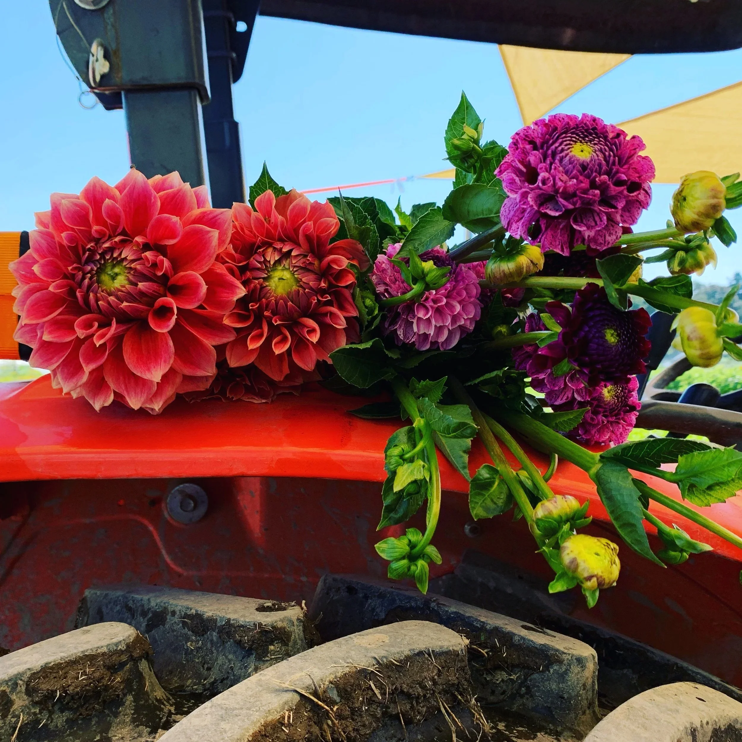 Flowers on a Tractor