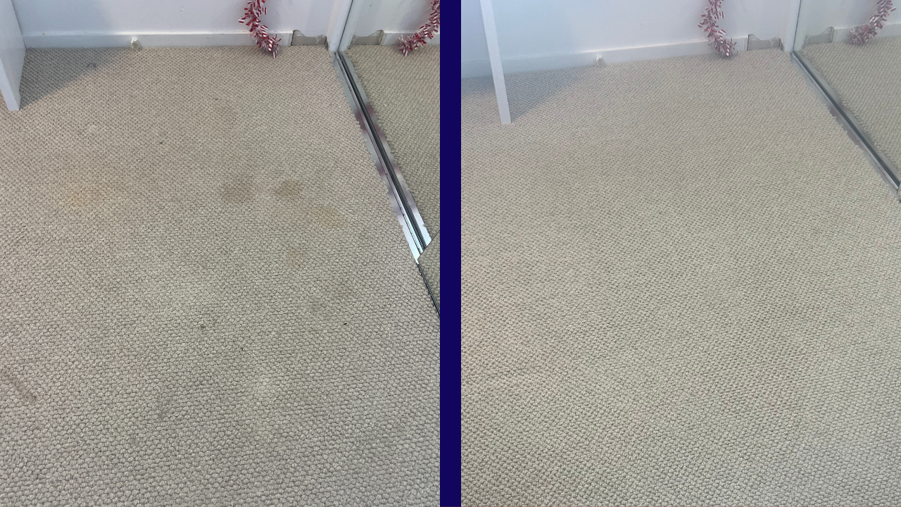 Carpet Cleaning Burleigh Waters