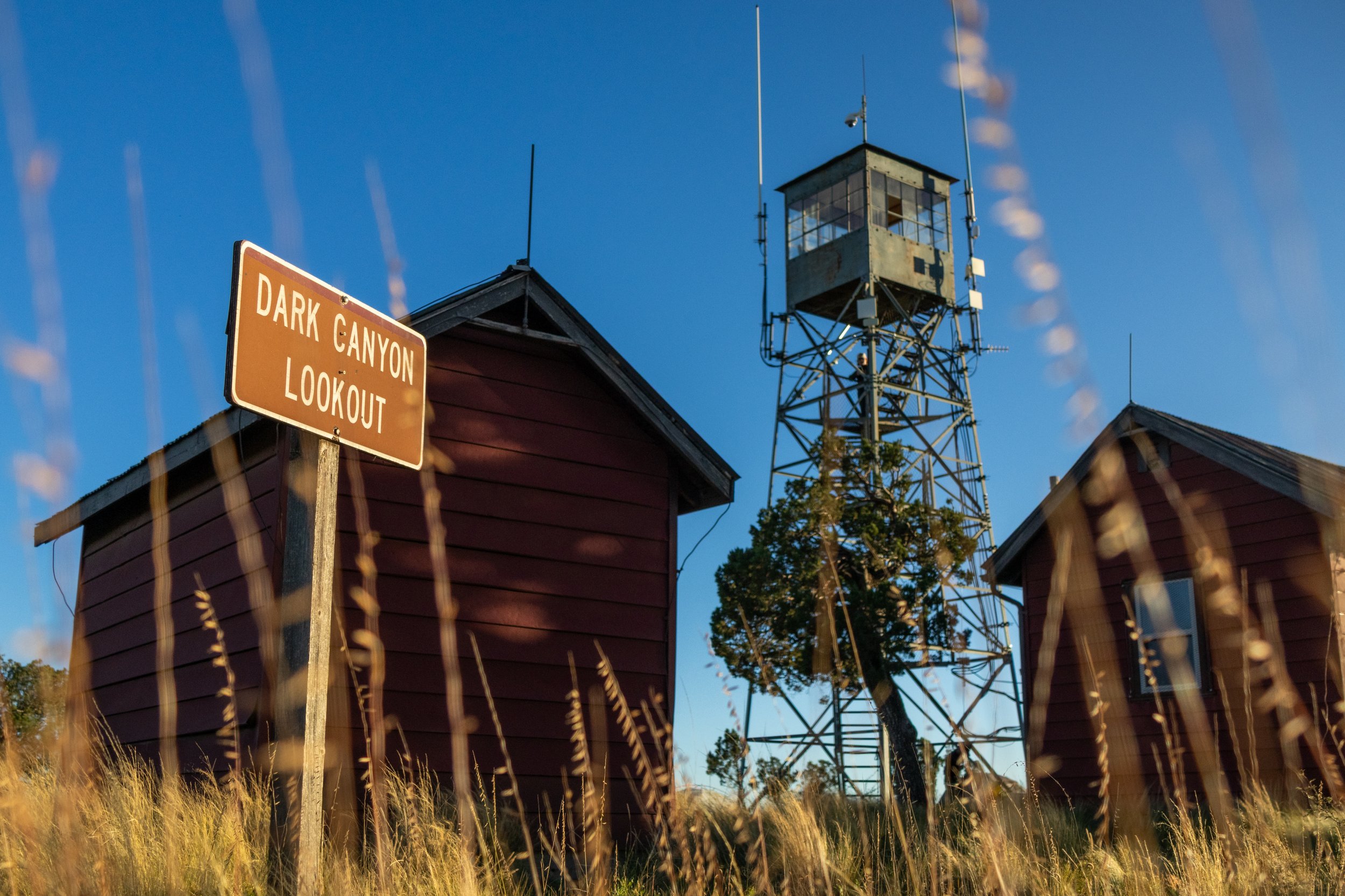 Andrews, Kenneth-0390.jpg