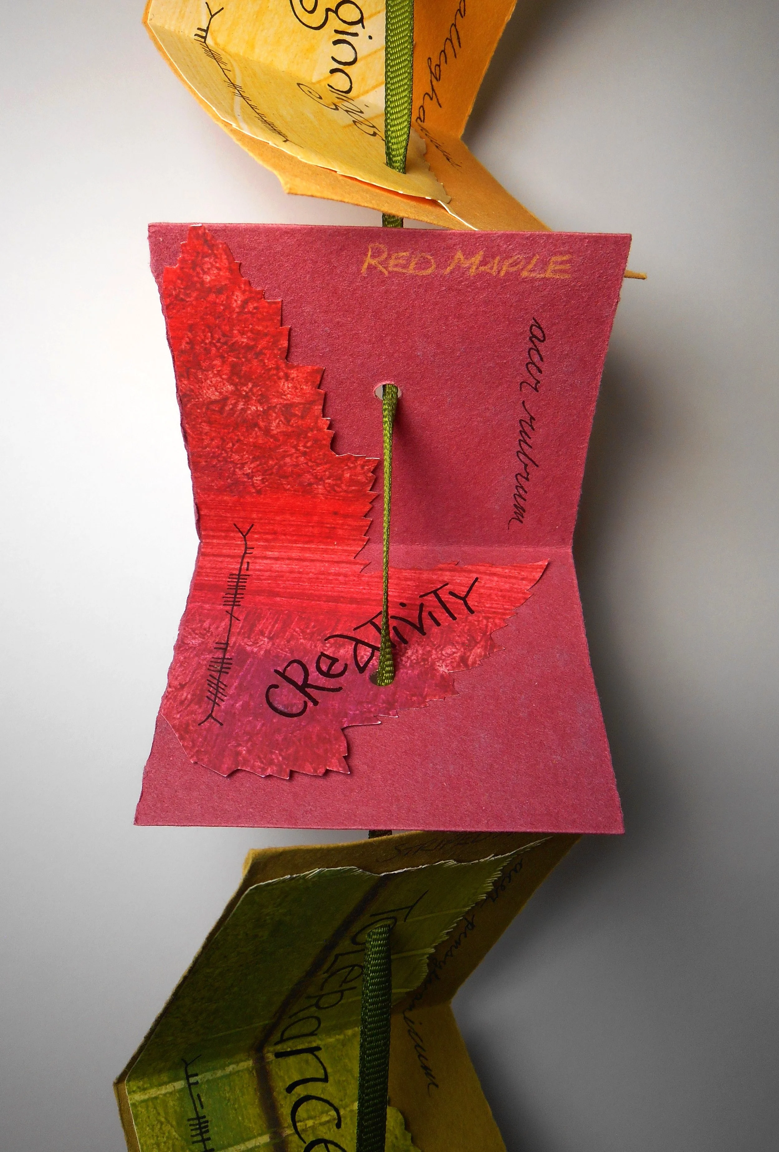 Language of Trees – A collection of tree names, in different languages & scripts.