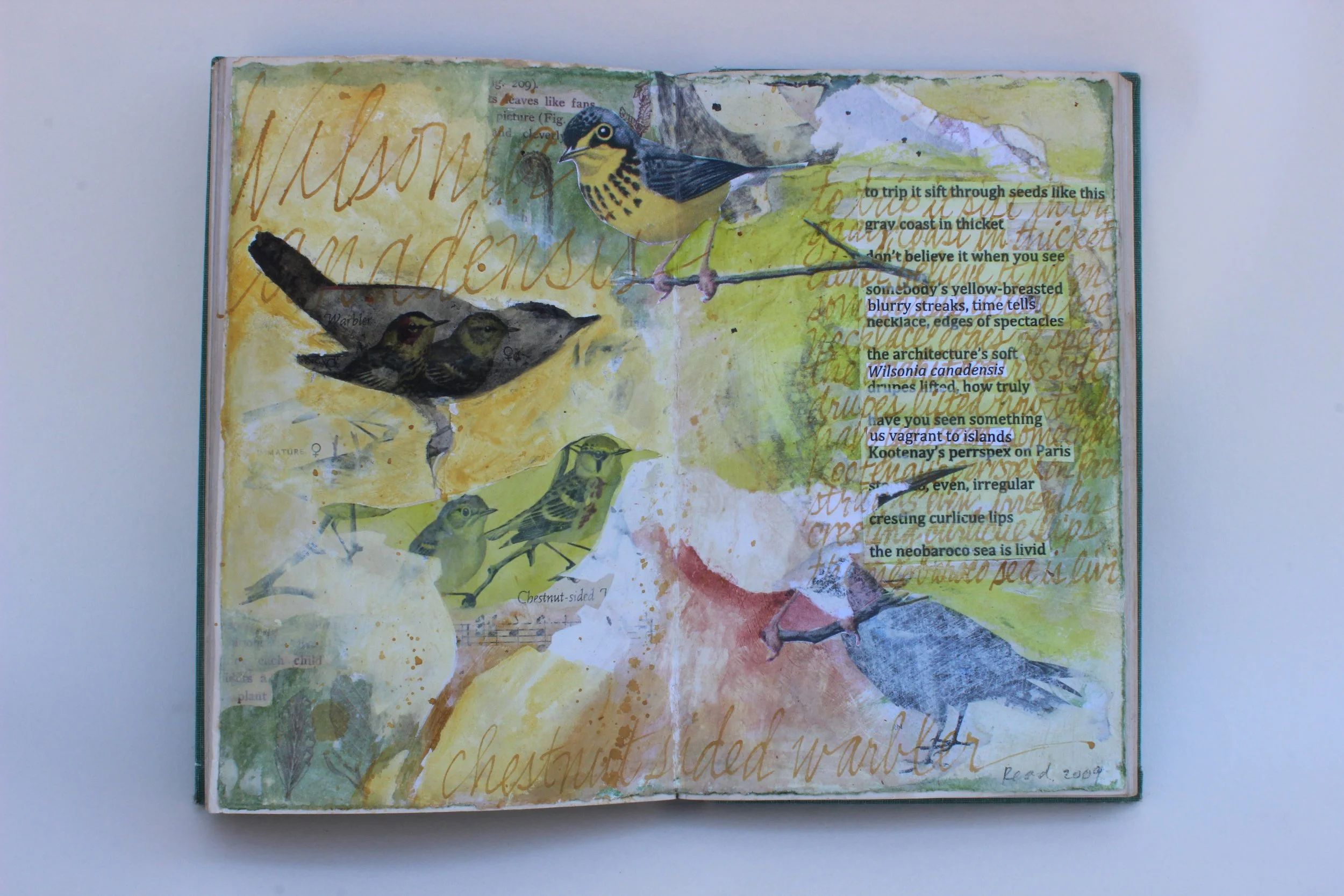 Wilsonian Canadensis - Altered book, mixed media, 7.5" X 9.5," 2009