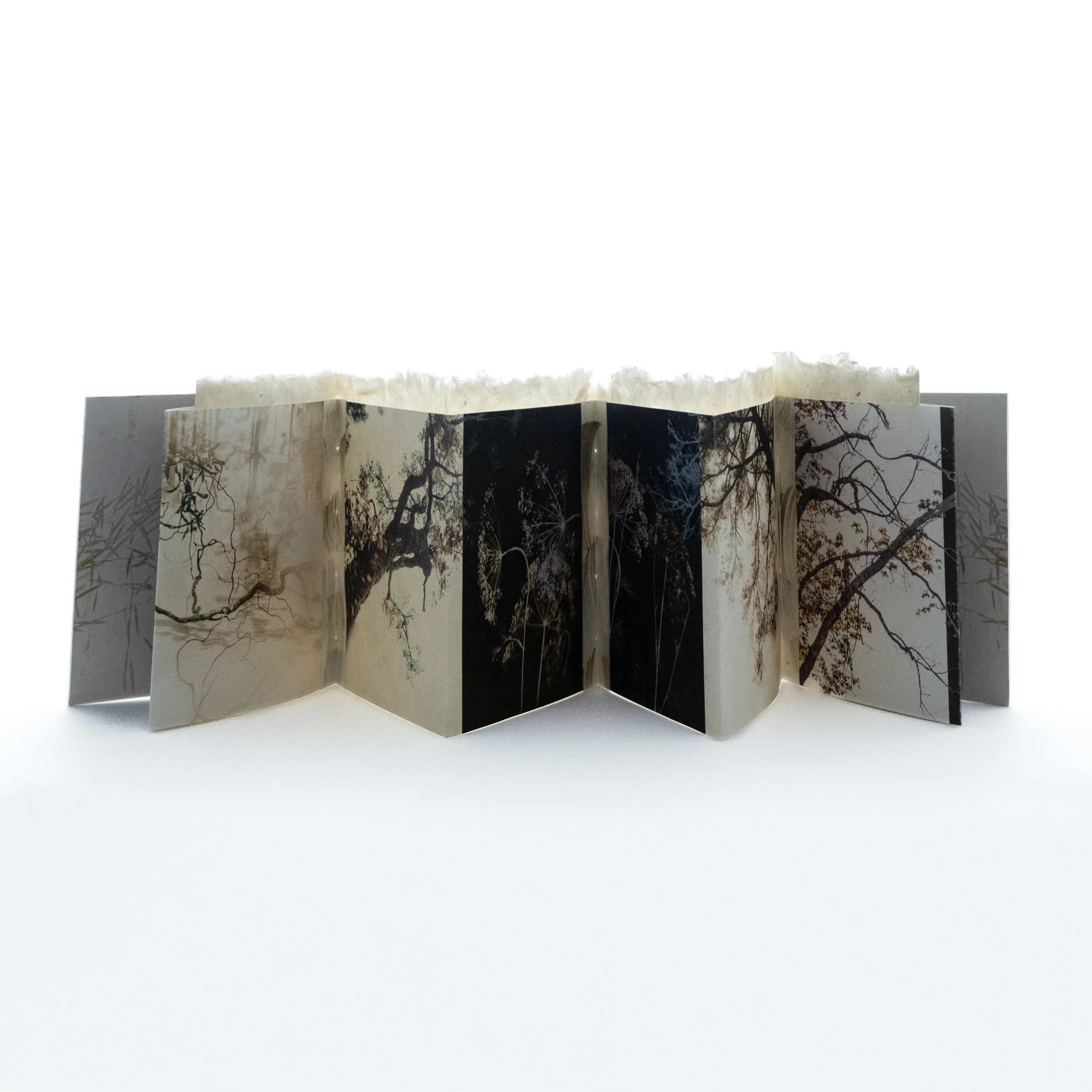 I Can Fly - Pigment prints on Azuka kozo blend paper, handmade cattail paper, linen cord, mat board, gold ink