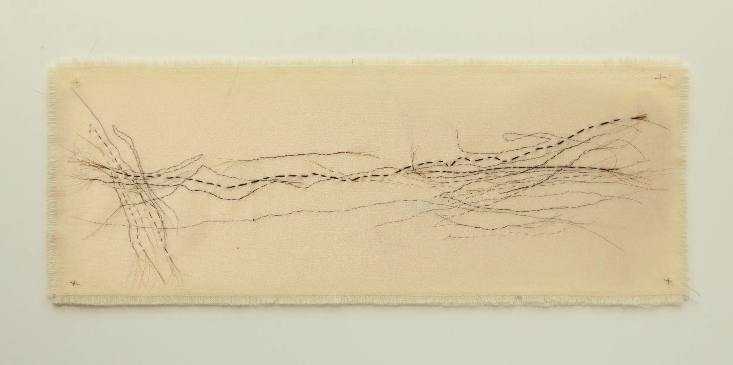 Filament - Image of a single hair drawing