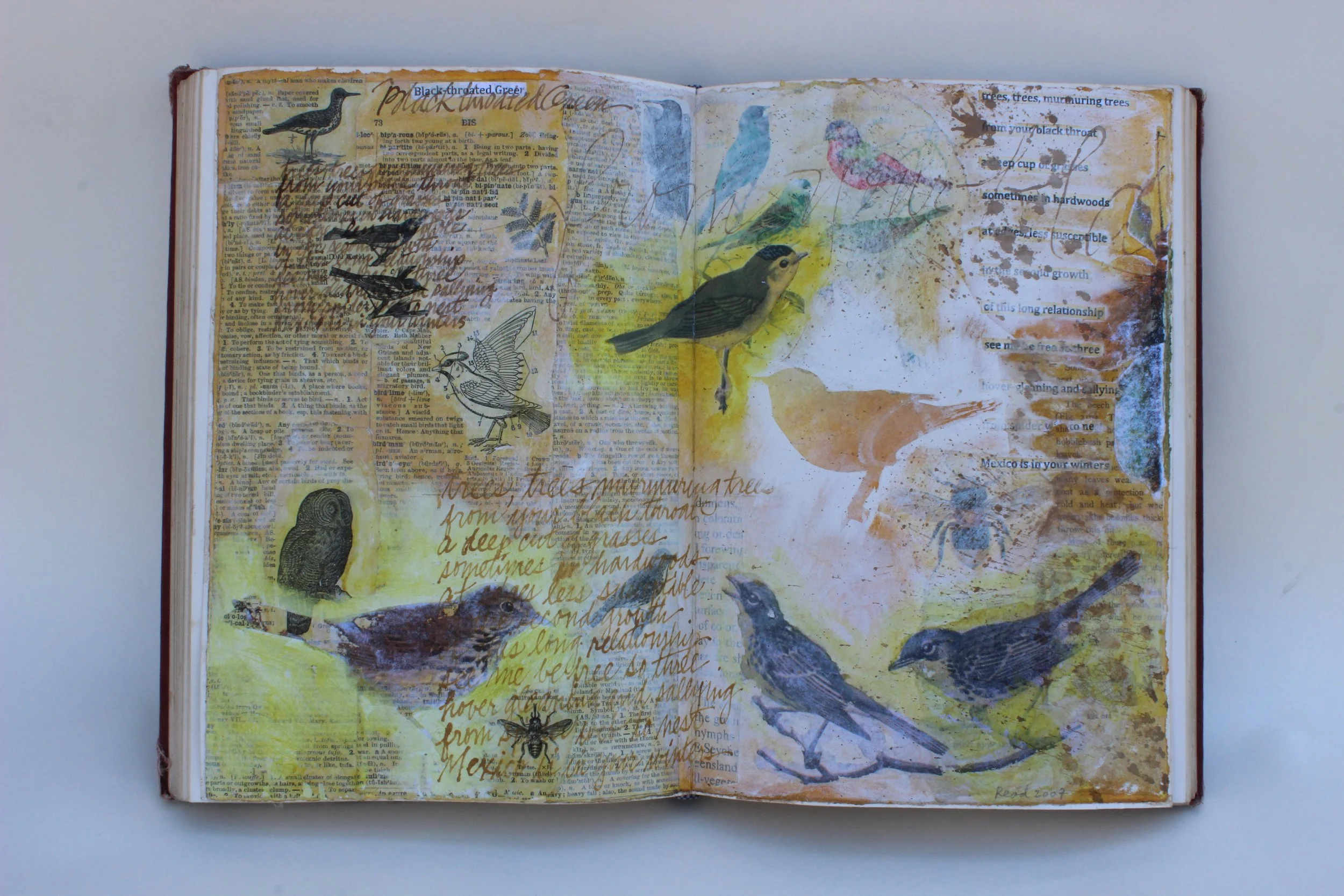 Black Throated Green - Altered book, mixed media, 10" X 14.5," 2009