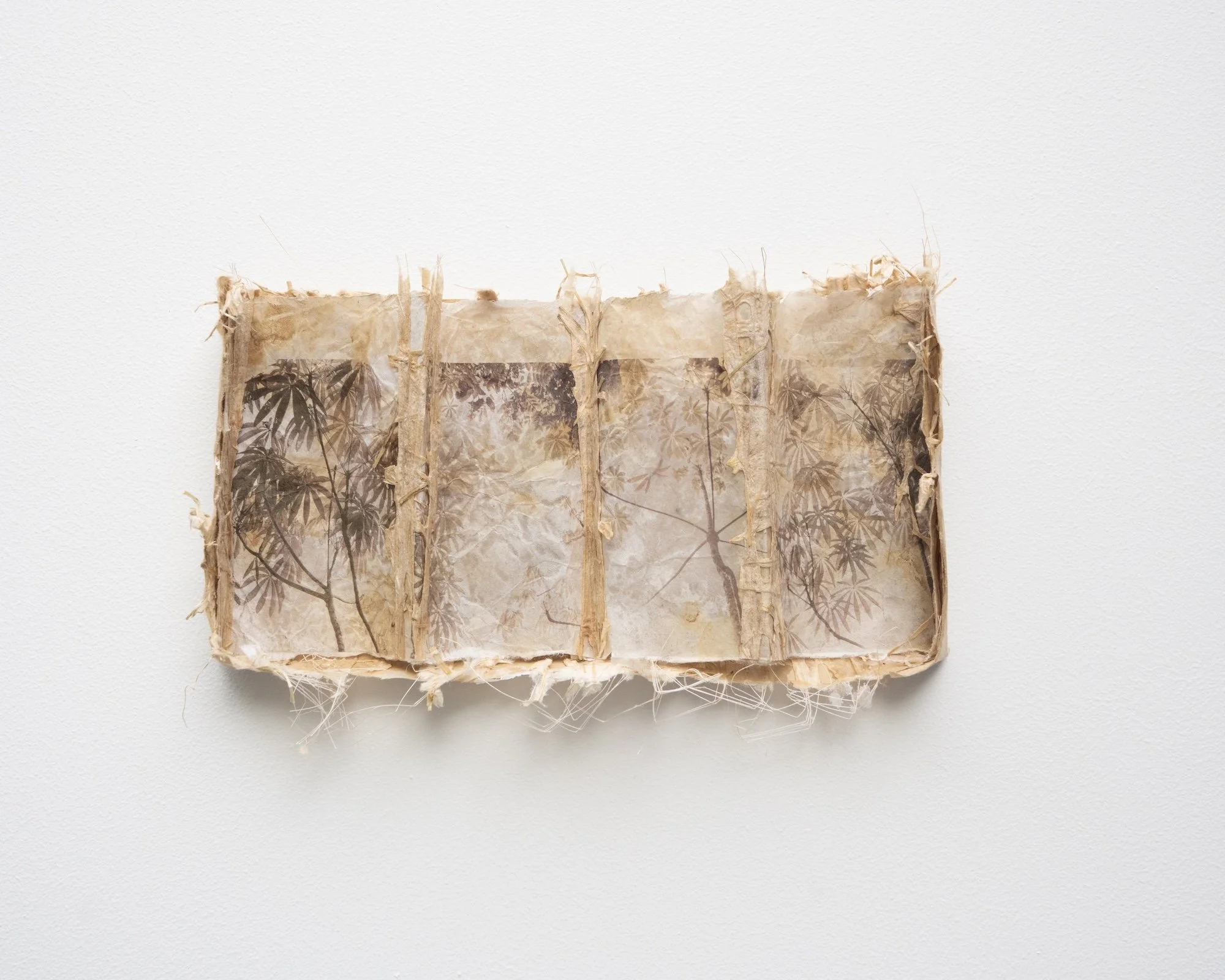 Close Companions - Artist made Himalyan balsam lace paper, mono print and pigment prints on hanji paper 