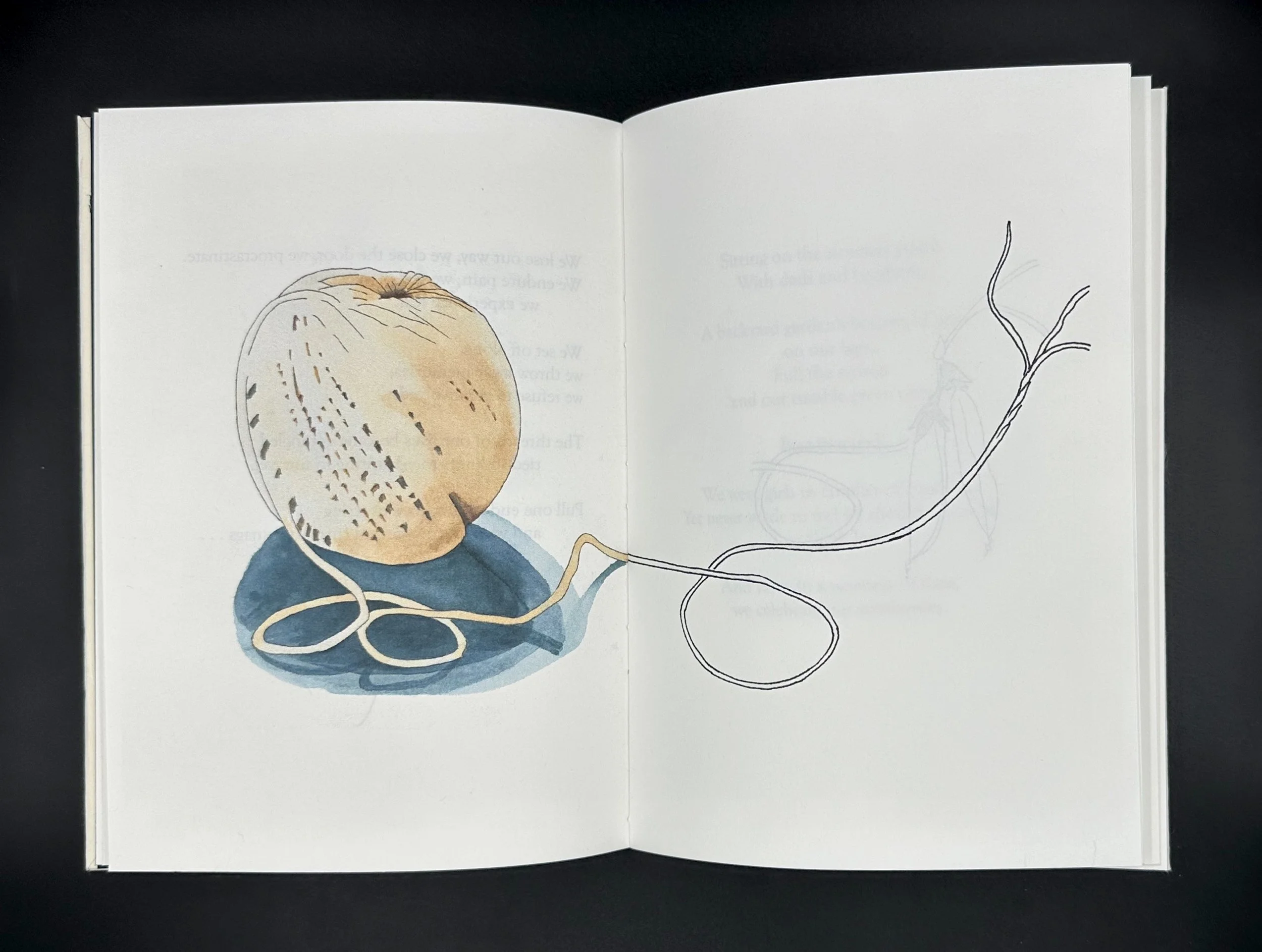 Pieces of String Too Short to Save, centerfold image, 2023. Hand-sewn book with a breakaway spine. Dimensions 8.5 x 6.0 x 0.5 inches.