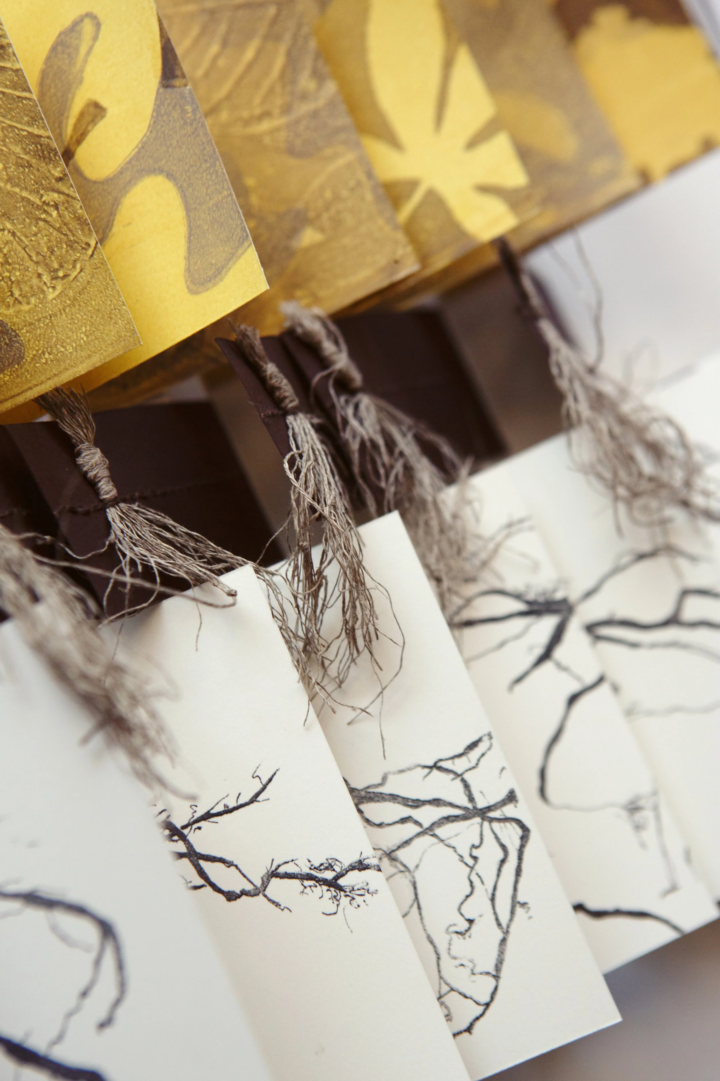 Mycchorizal - photo of the opened book featuring 3 pages