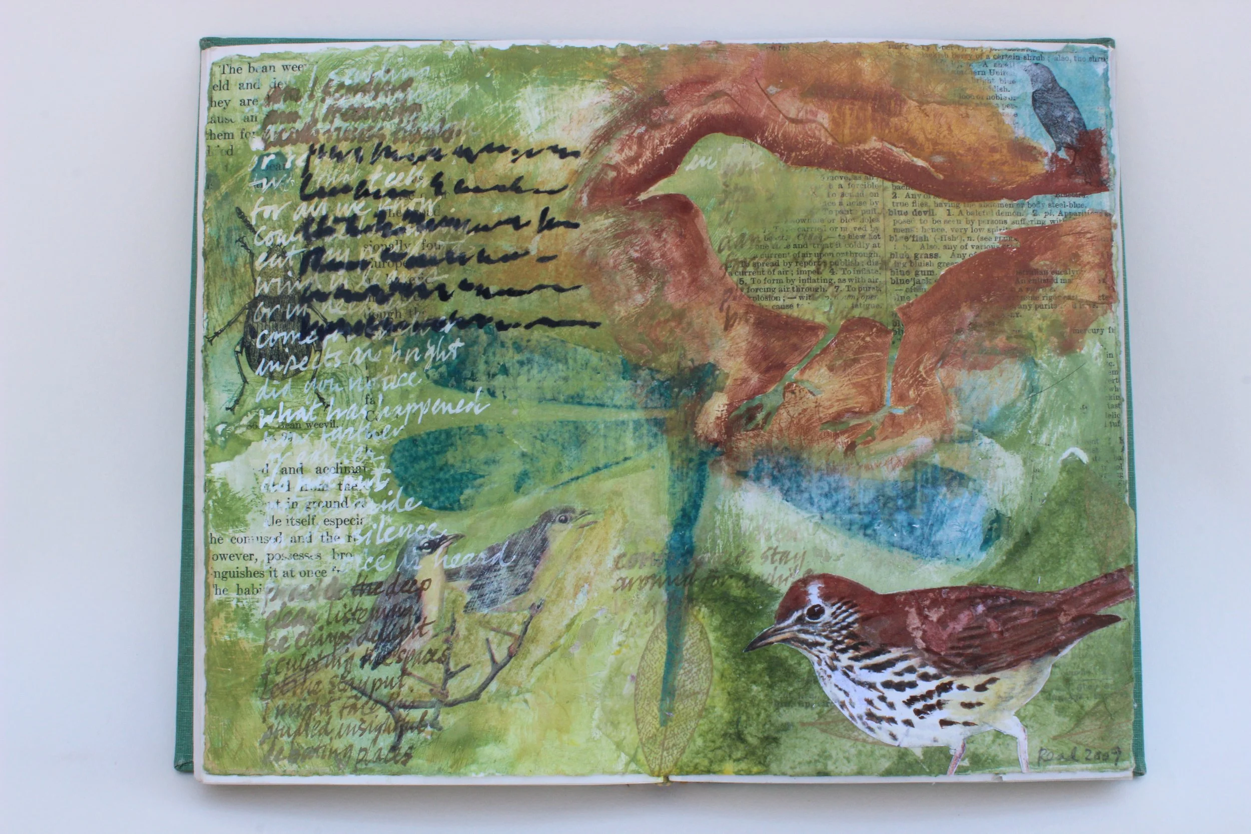 Field Guide To The Birds - Altered book, mixed media, 7.5" X 9.5," 2009