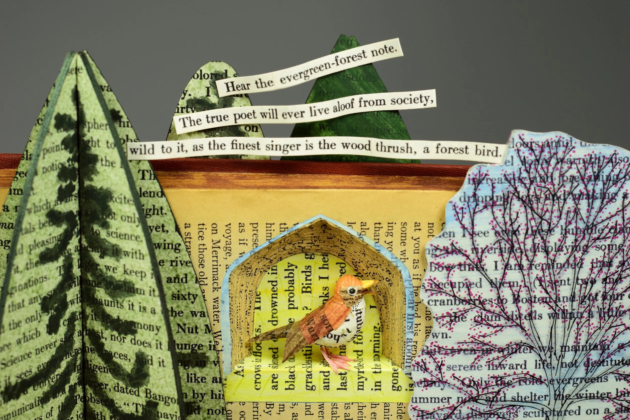 A Walk with Henry David Thoreau – Altered books, which illustrate five Spring-time excerpts.