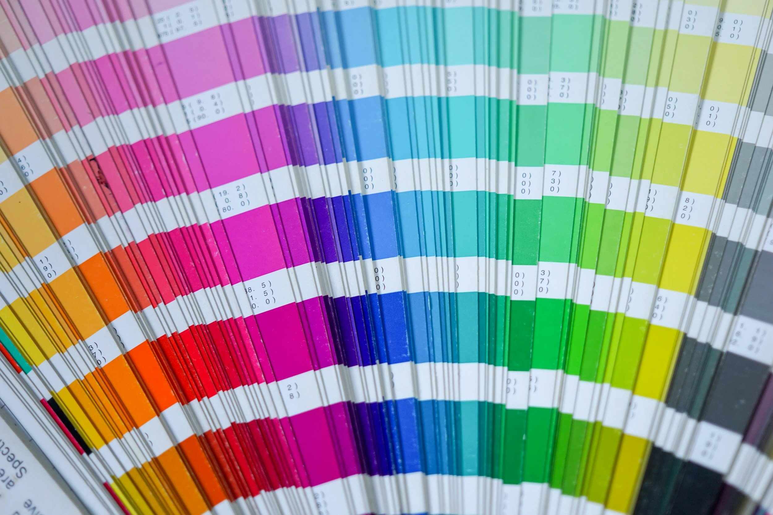 Saguaro Supply Co Pantones