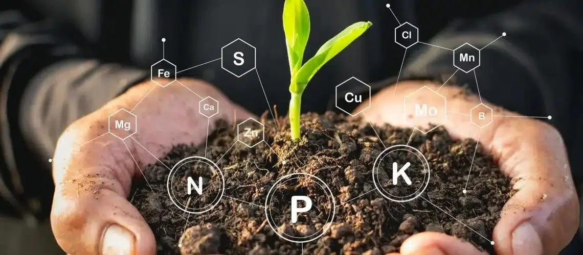 Close-up of hands holding soil with a small green plant, overlayed with chemical element symbols and their connections, including N, P, K, Mg, Fe, Ca, Zn, Cu, Cl, Mn, B, Mo, and S.