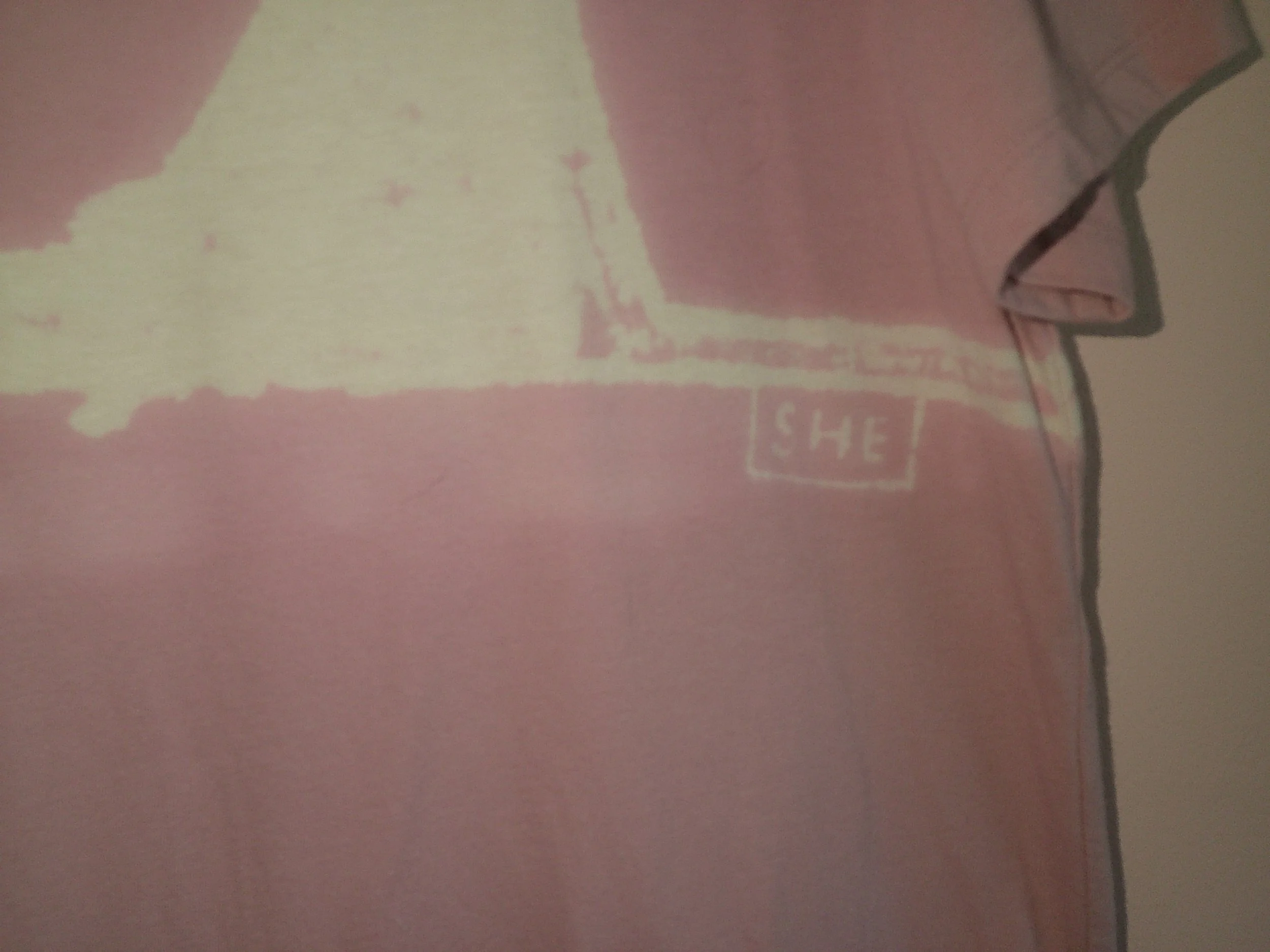 DSCF0348.JPG