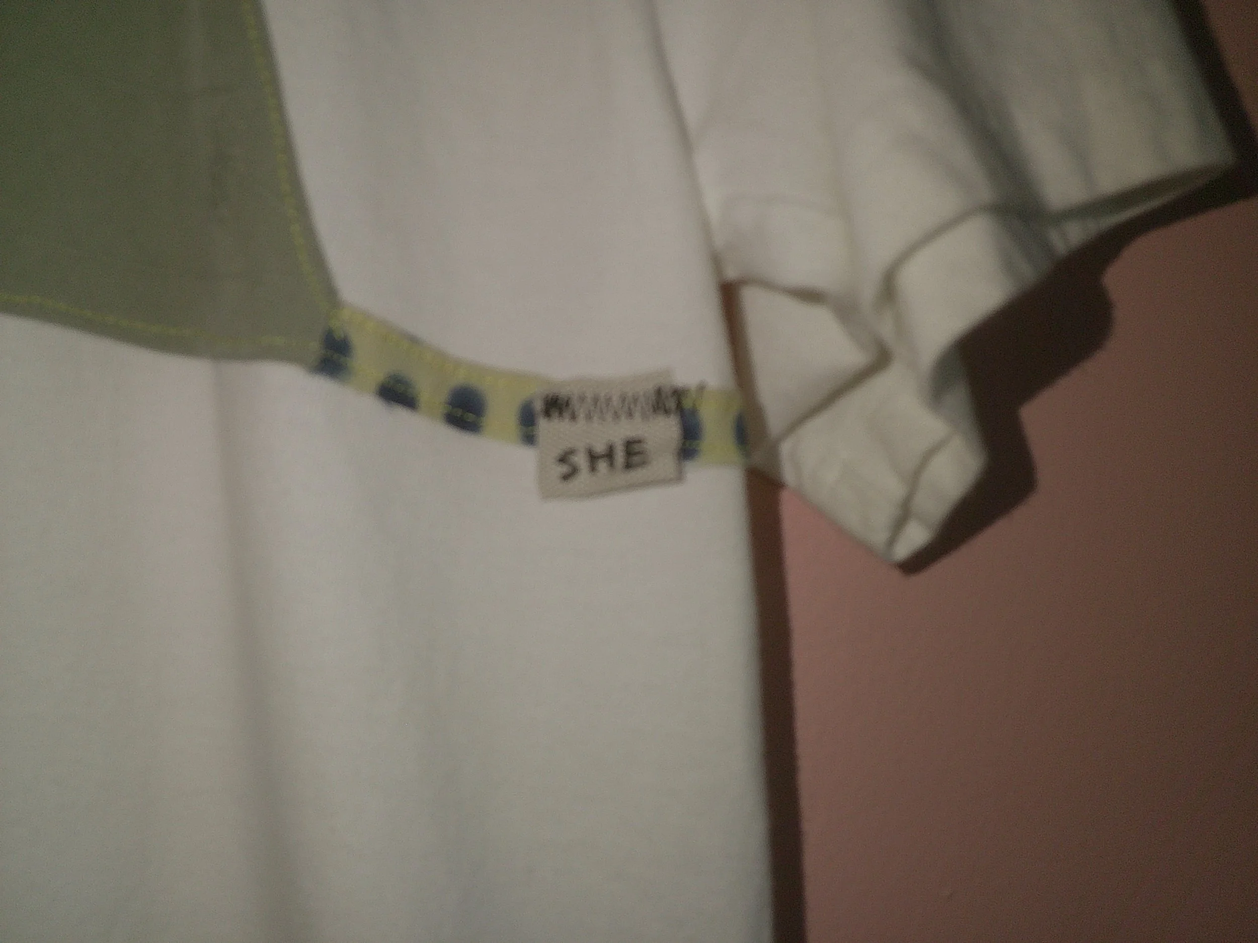 DSCF0301.JPG