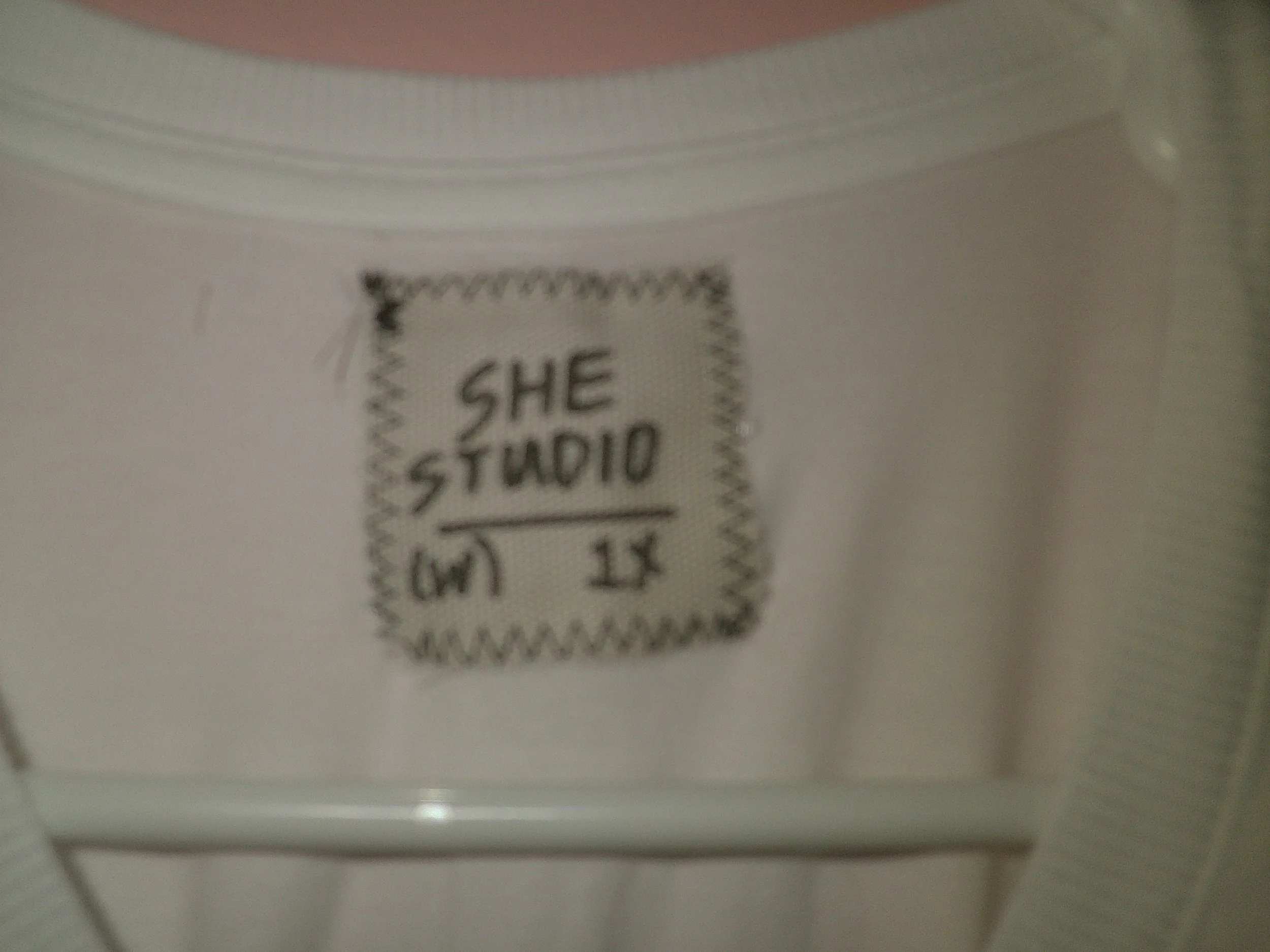 DSCF0395.JPG