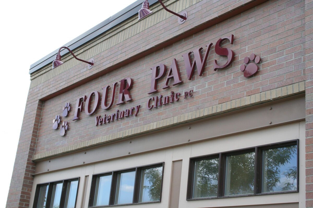 injection-molded-four-paws-1200x800.jpg