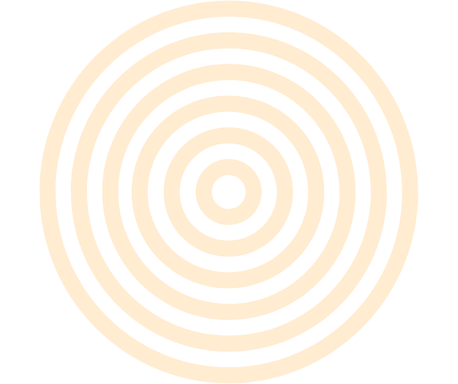 Concentric beige and black circles creating a target pattern.