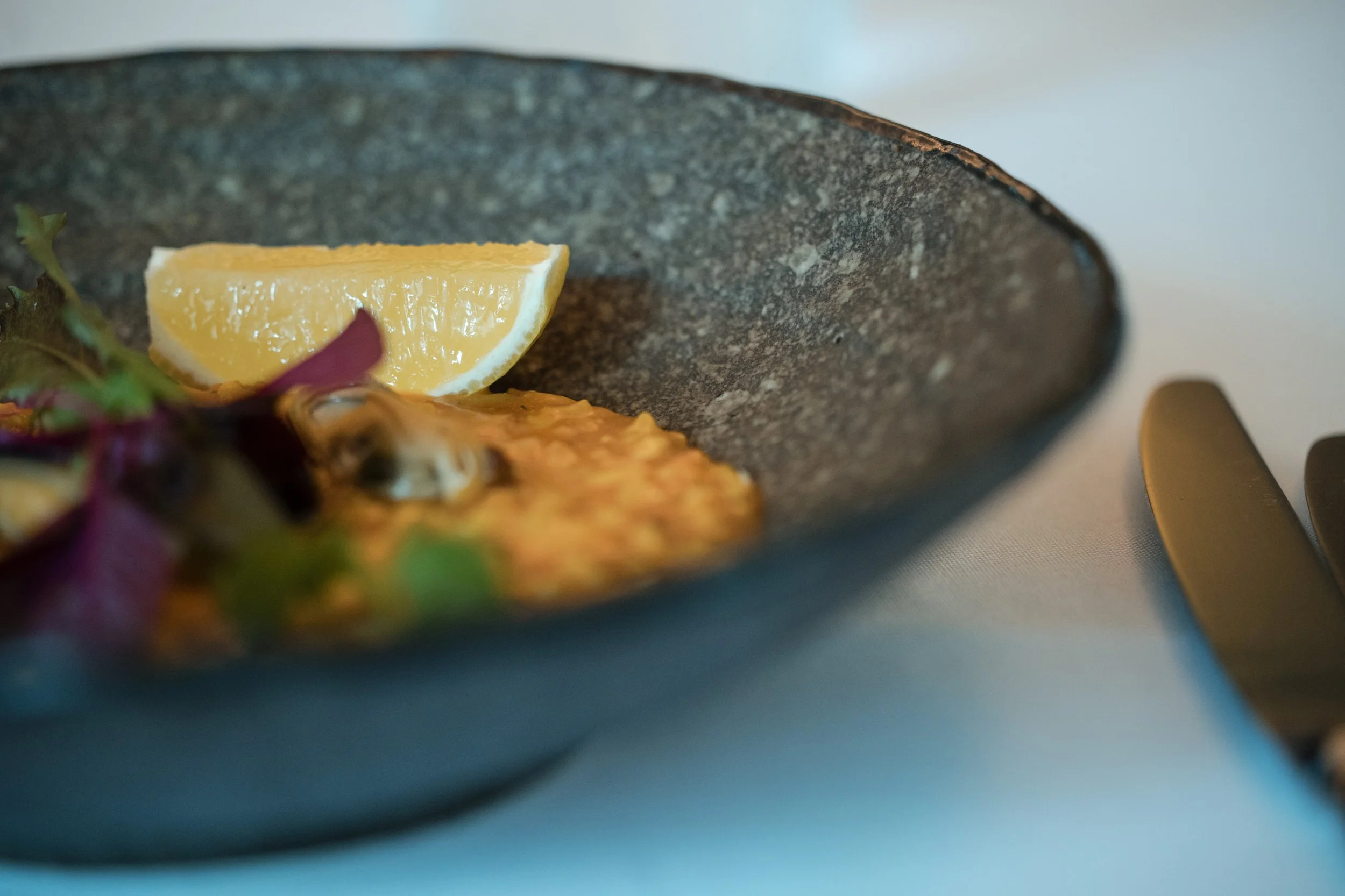 Wez Hone Jan 2026-0Y4A8066.jpg