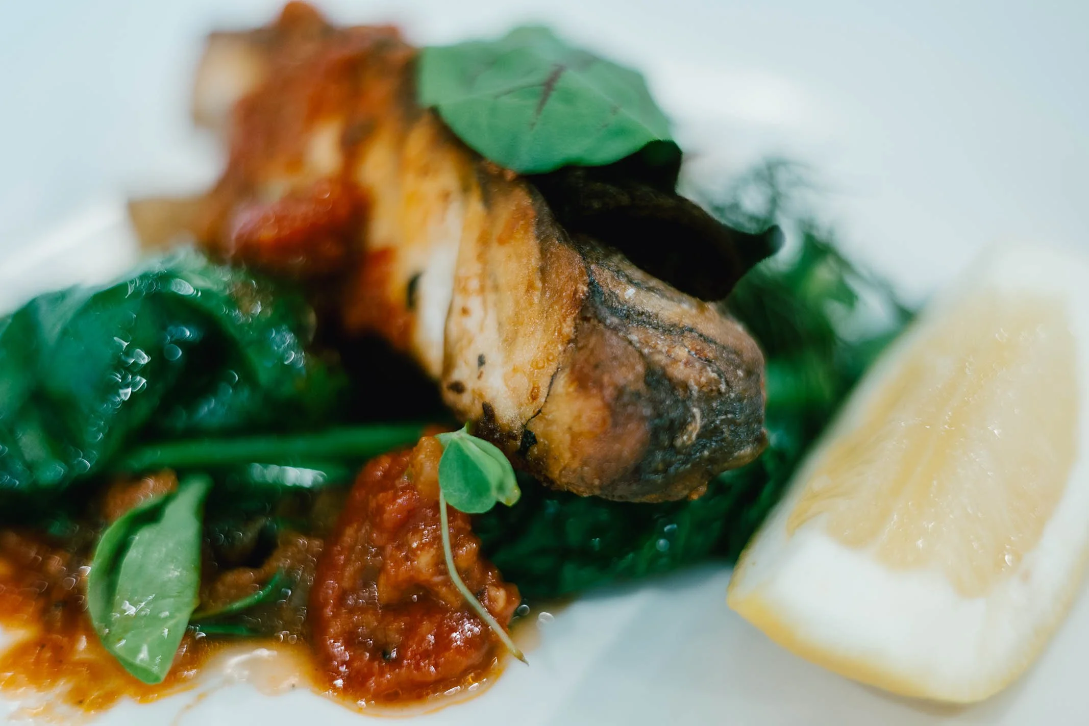 Close-up of a plated dish with a grilled fish fillet, served with lemon wedge, spinach, and tomato sauce, garnished with fresh herbs.