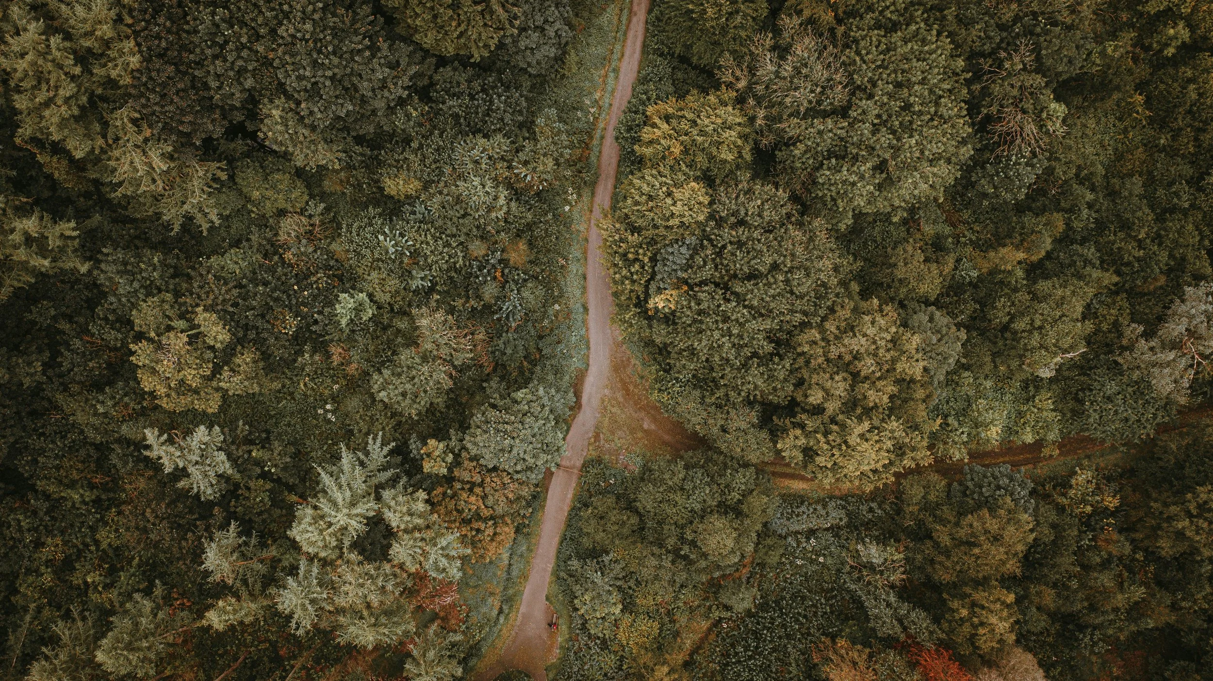 To Whom Shall We Go?