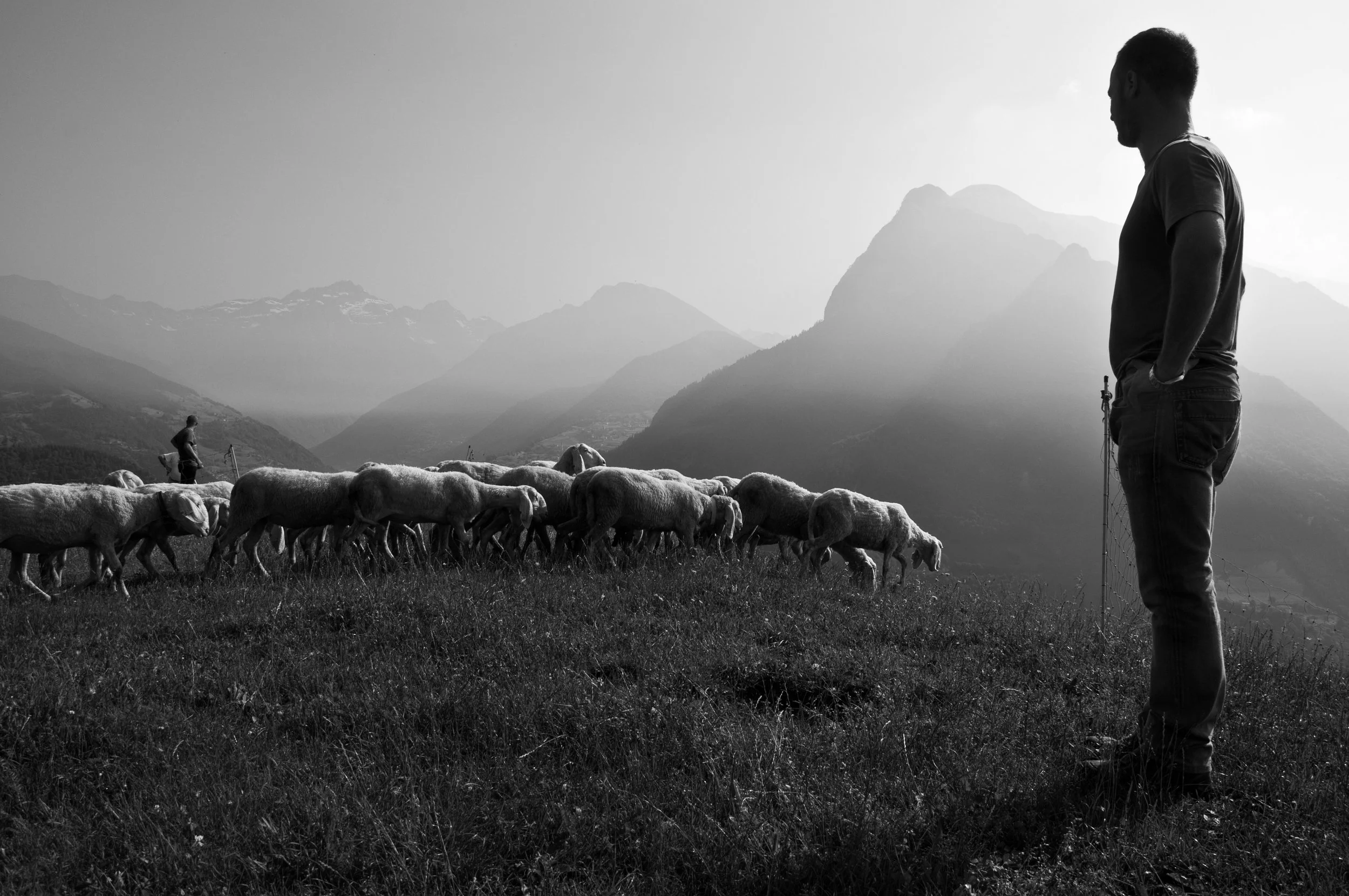 Anglican Adjectives pt. 4: Pastoral