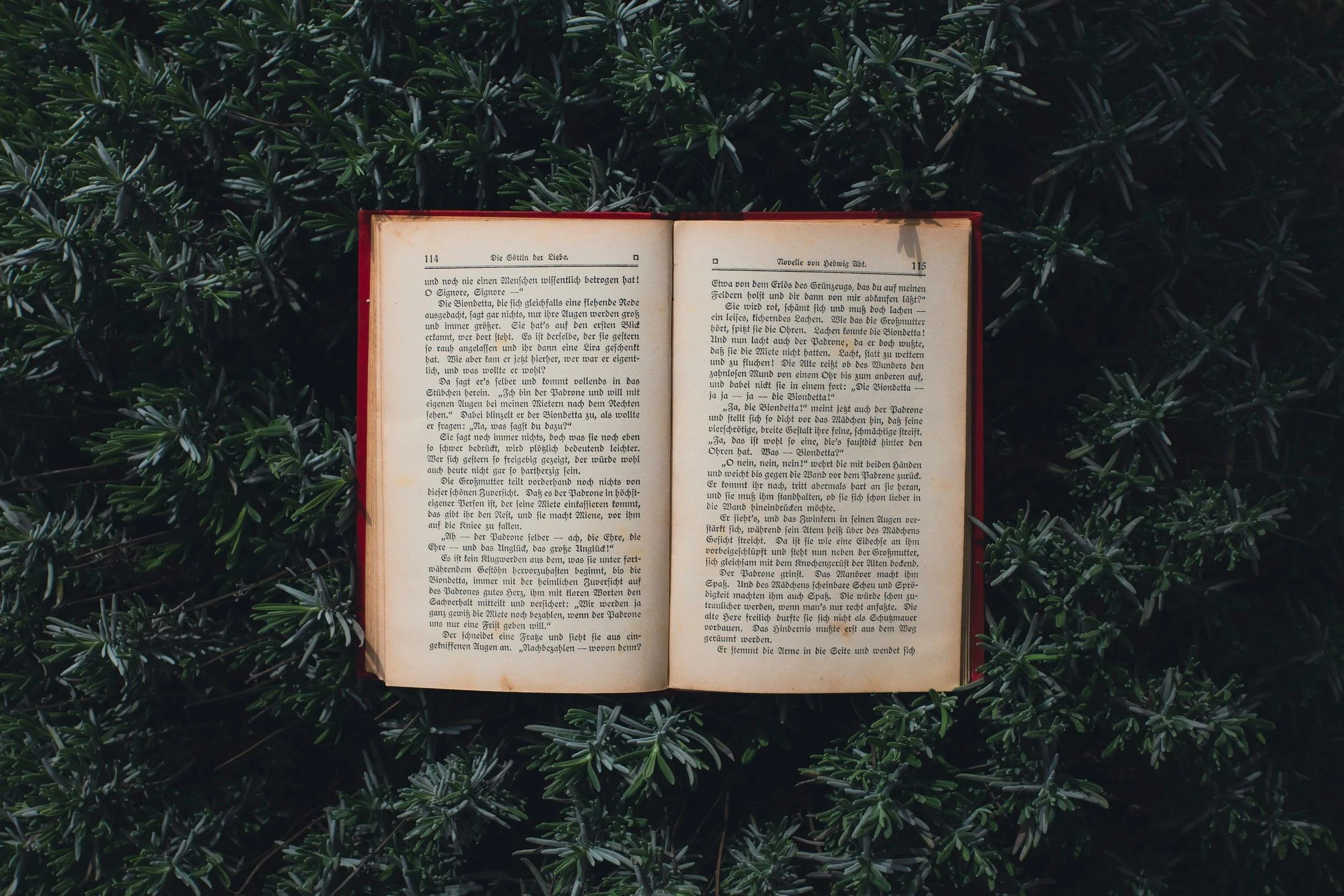 Book Study: Simply Anglican