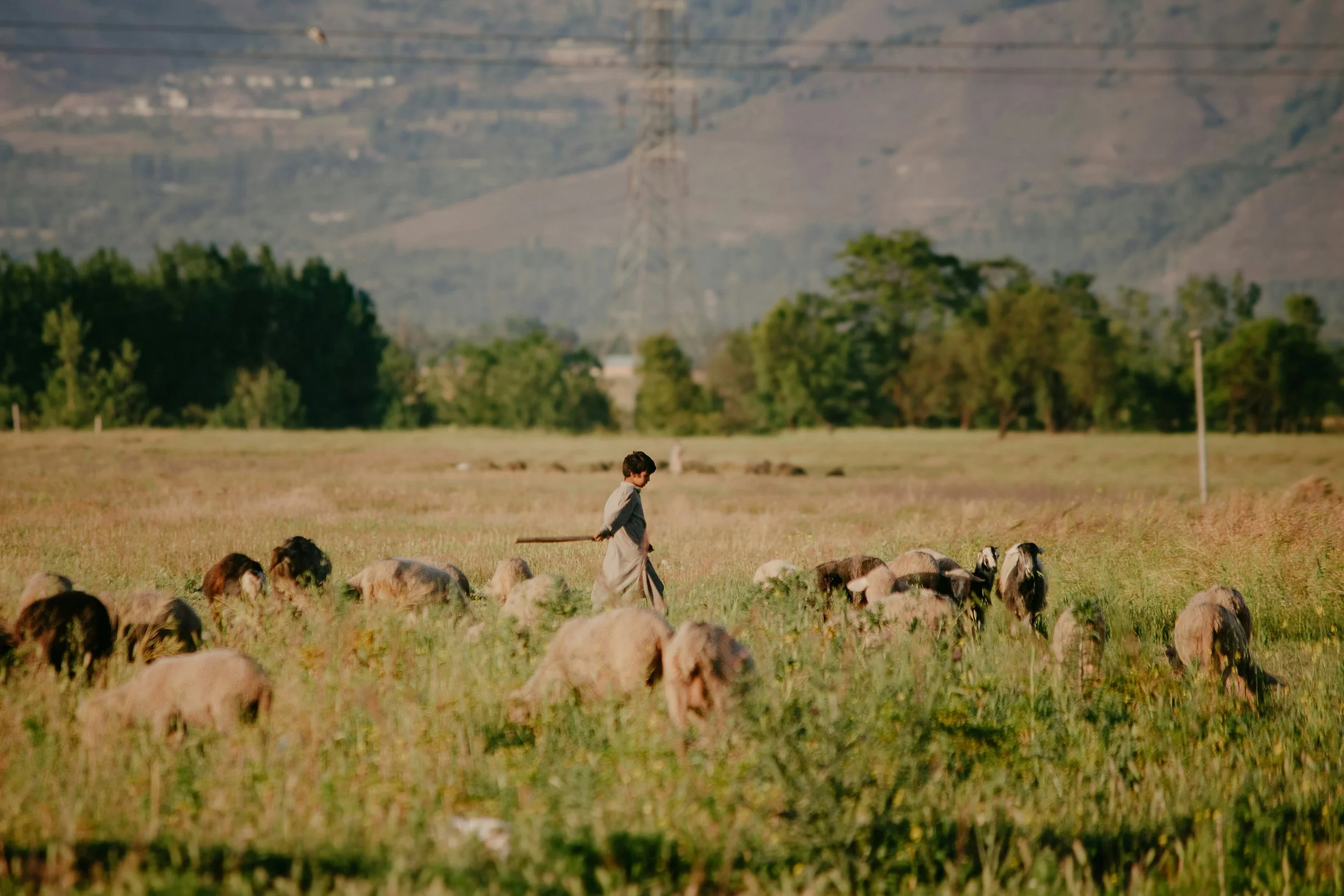 I Am The Good Shepherd
