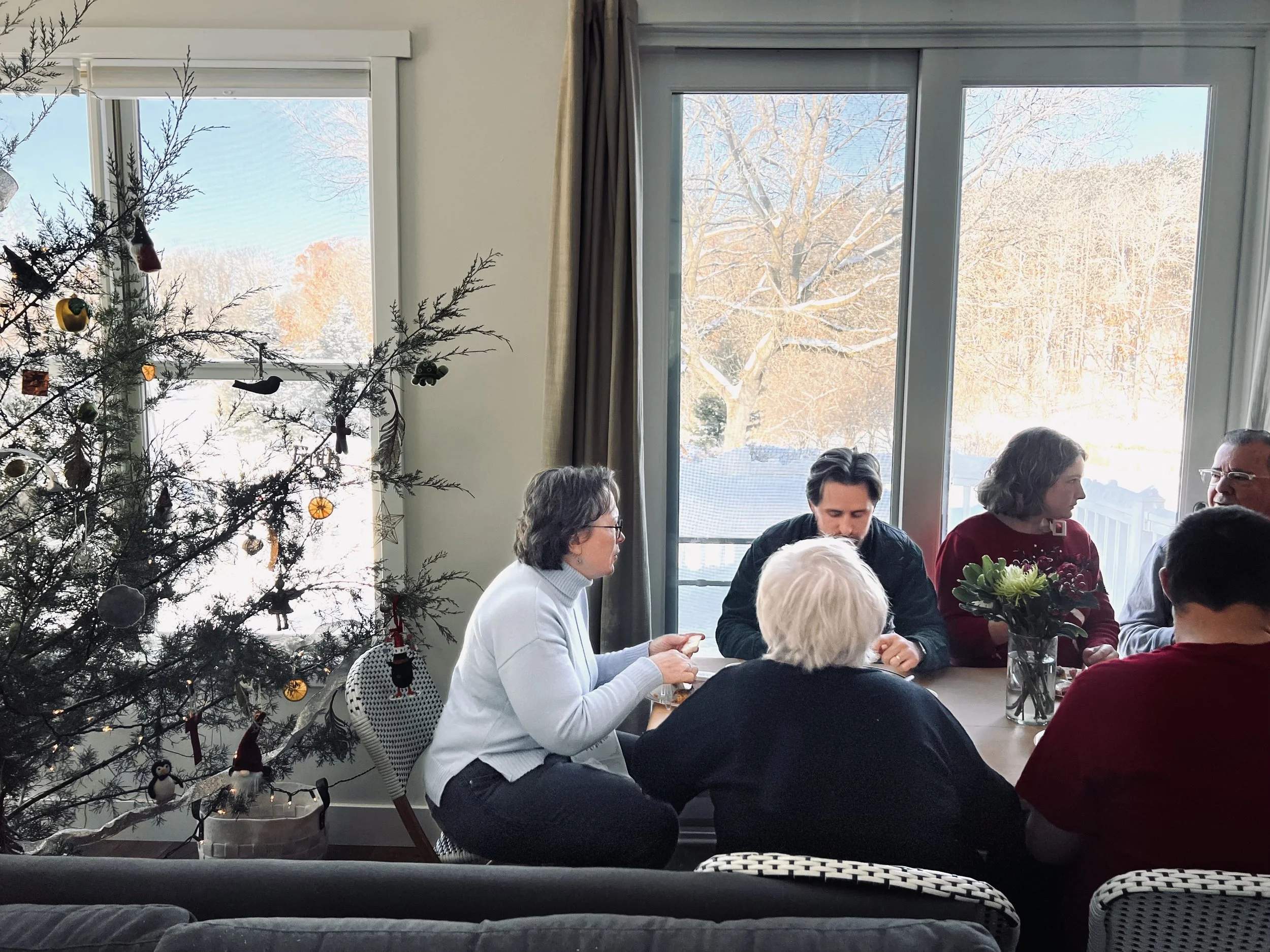 Group of six people sitting around a table near a decorated Christmas tree and large windows showing a snowy outdoors.