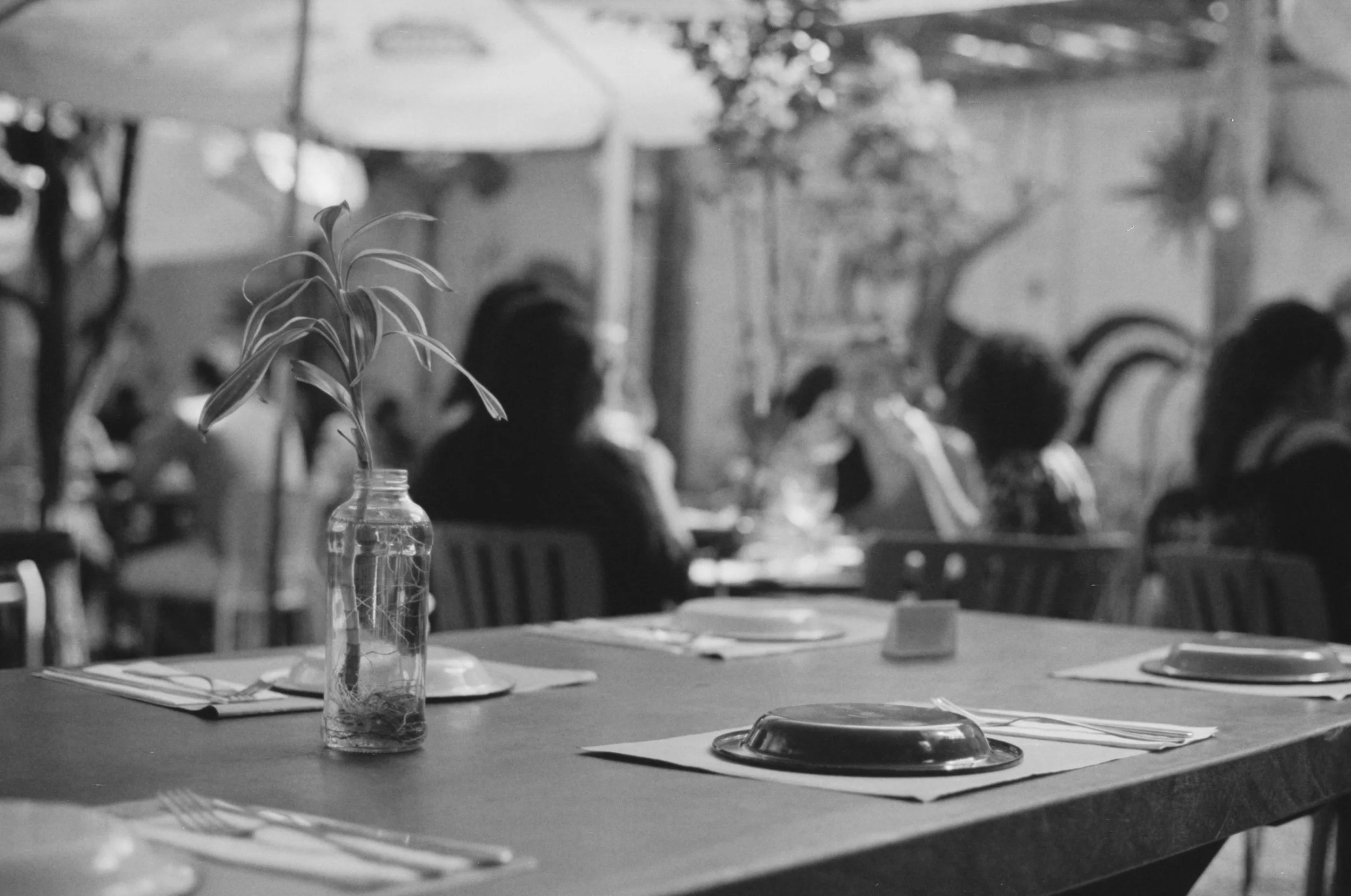 A table set with plates, utensils, and a vase with a plant, in a restaurant with people dining in the background.