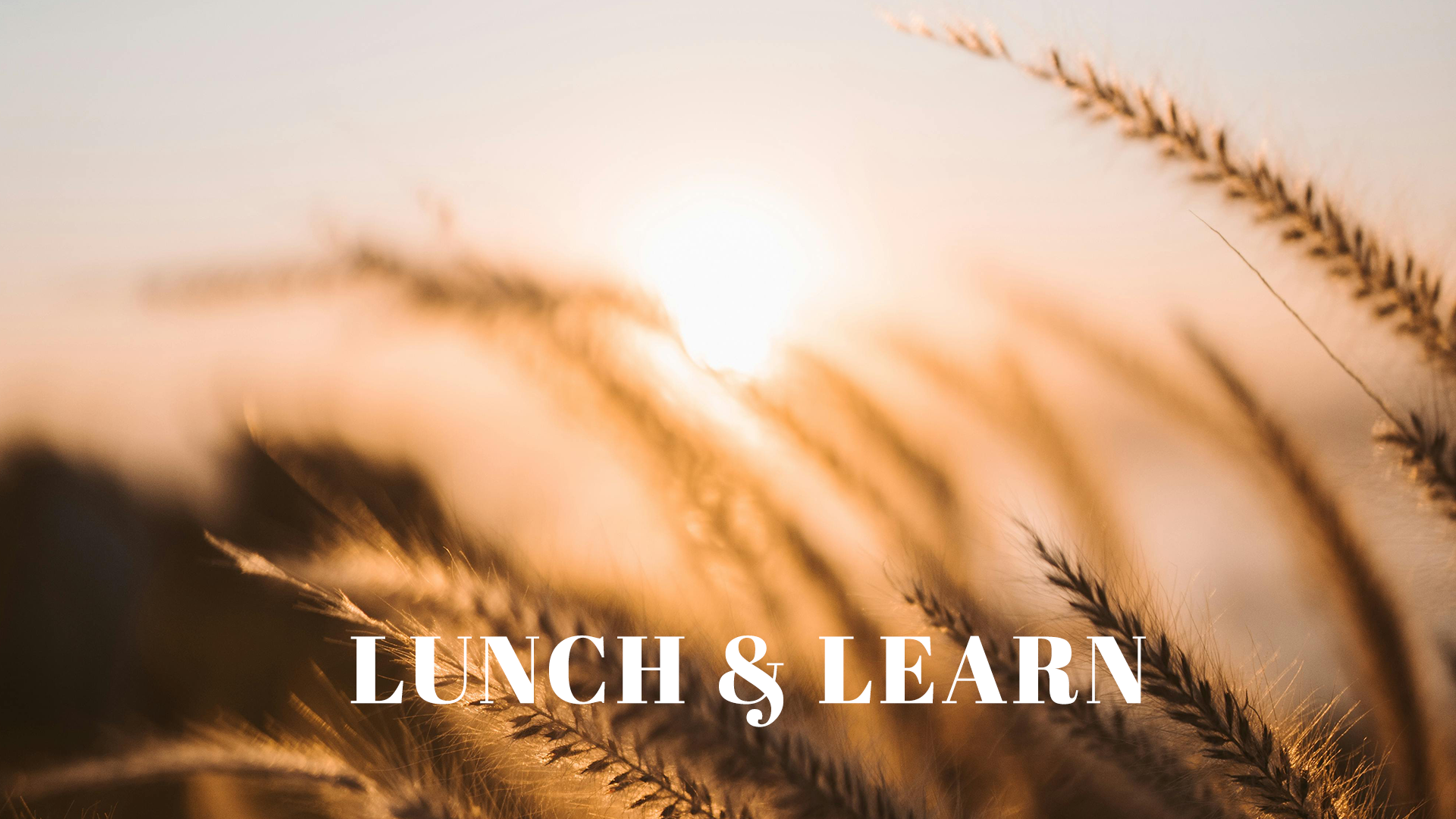 Lunch and Learn