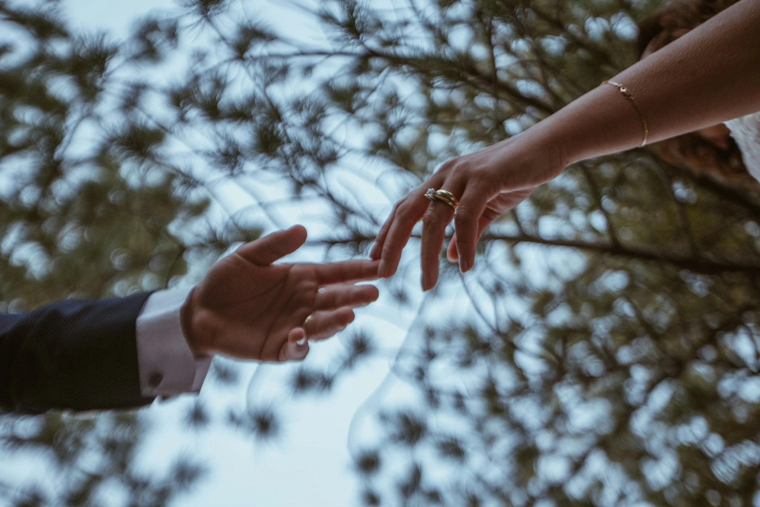 Two people reaching towards each other with their hands, outdoors with blurred tree branches in the background.