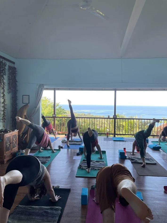 People participating in a yoga class in a room with large windows overlooking trees and the ocean, with sunlight coming in.
